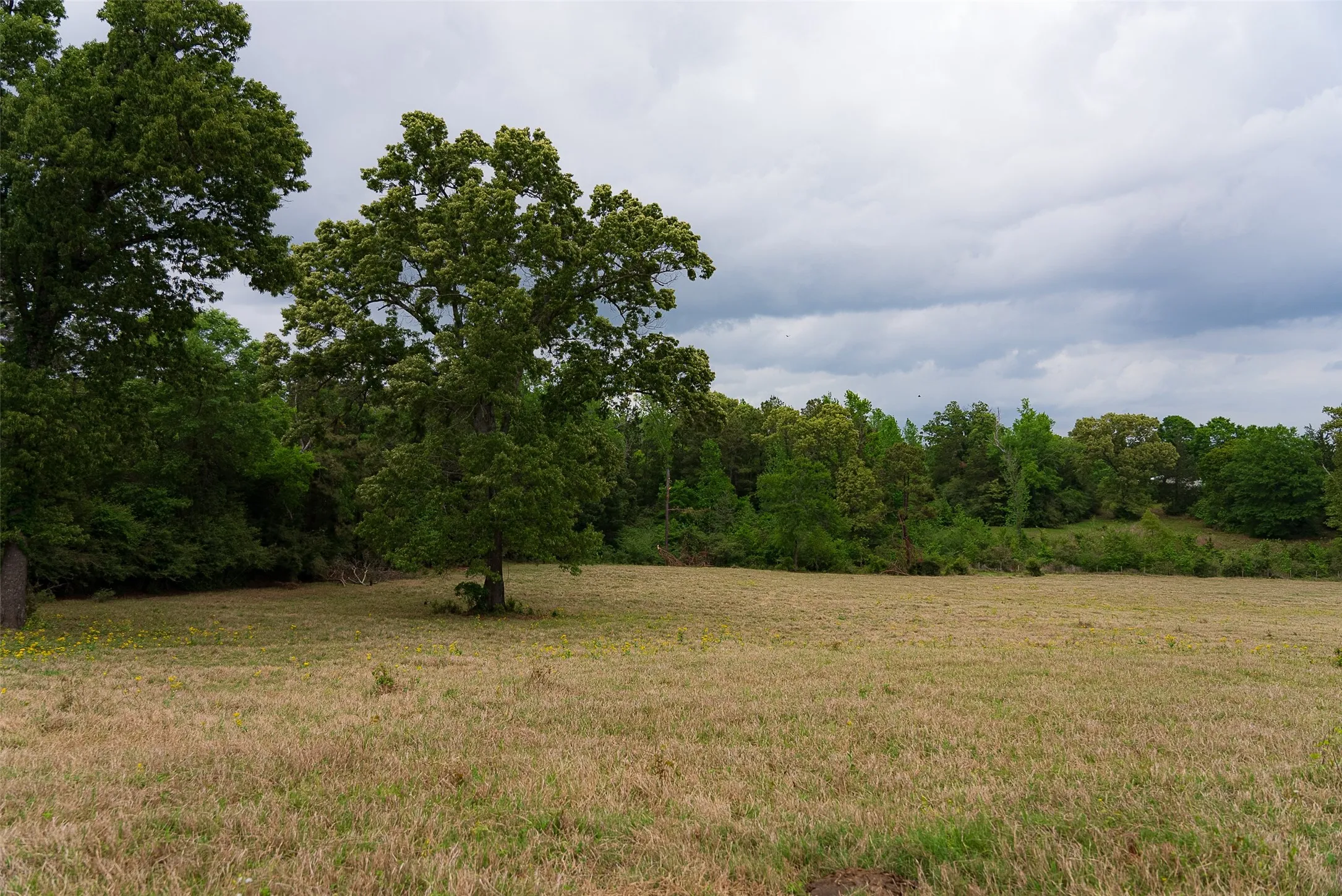 Improved Land For Sale in Cherokee County , 00 Tract 2 CR 1615, Jacksonville, Texas 75766, 0, 0, Garage spaces, 0 Sqft, built in 0, Price $365,000, mls#21236630, Real Estate Agent in Jacksonville, Homes For Sale in Cherokee county, Homes For Sale in Jacksonville, Realtor in Jacksonville Texas, Real Estate Brokerage Independent Realty Texas, Luminita Cordes Realtor