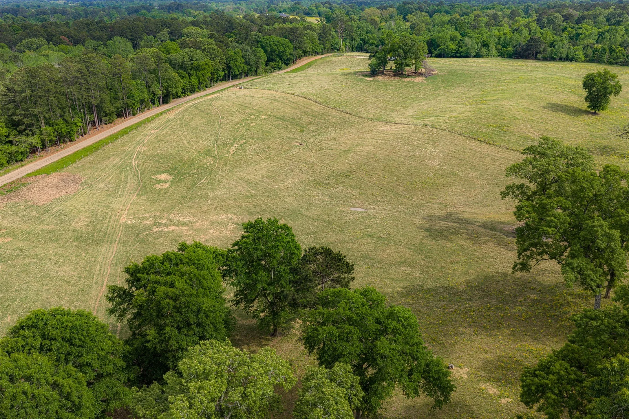 Improved Land For Sale in Cherokee County , 00 Tract 2 CR 1615, Jacksonville, Texas 75766, 0, 0, Garage spaces, 0 Sqft, built in 0, Price $365,000, mls#21236630, Real Estate Agent in Jacksonville, Homes For Sale in Cherokee county, Homes For Sale in Jacksonville, Realtor in Jacksonville Texas, Real Estate Brokerage Independent Realty Texas, Luminita Cordes Realtor