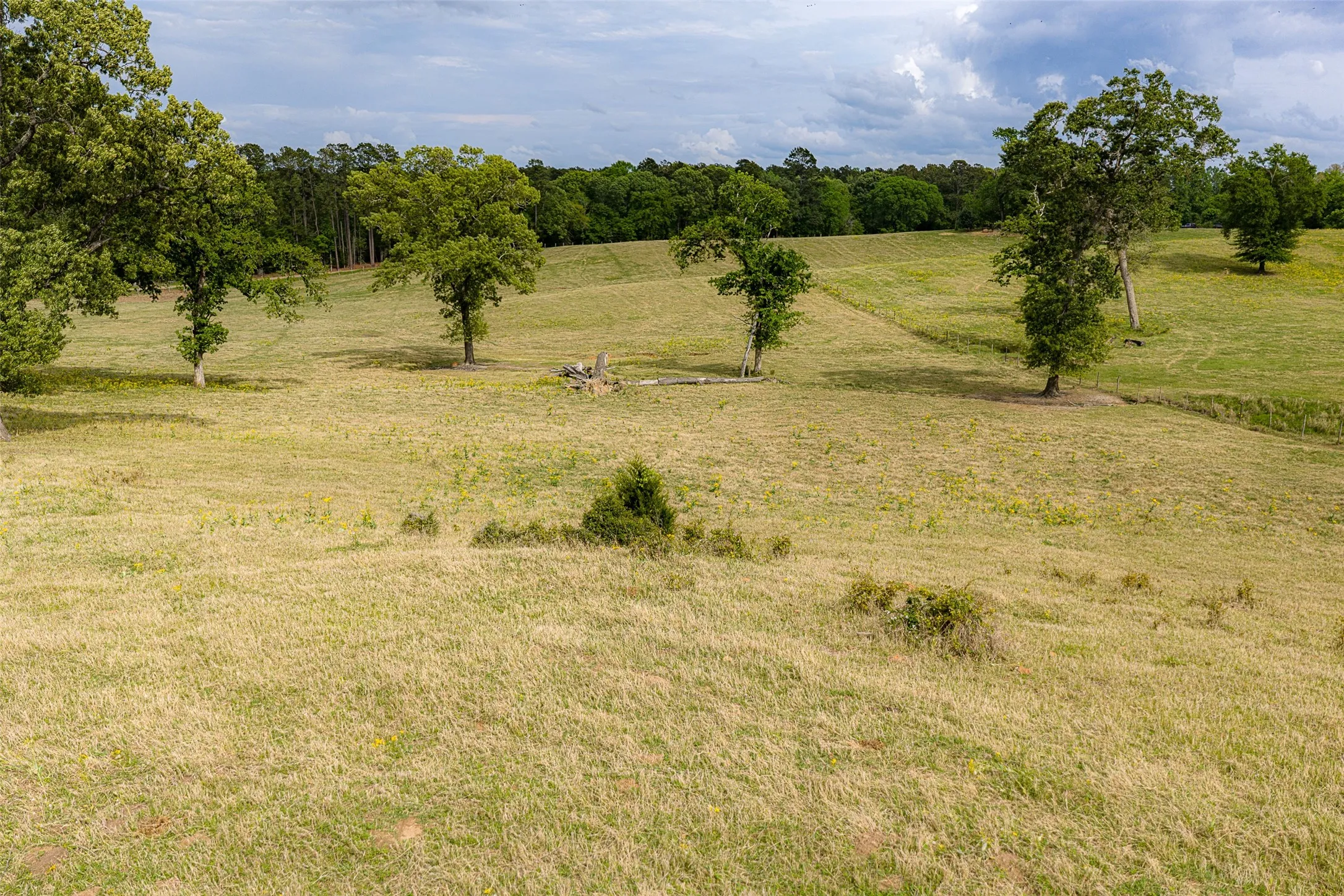 Improved Land For Sale in Cherokee County , 00 Tract 2 CR 1615, Jacksonville, Texas 75766, 0, 0, Garage spaces, 0 Sqft, built in 0, Price $365,000, mls#21236630, Real Estate Agent in Jacksonville, Homes For Sale in Cherokee county, Homes For Sale in Jacksonville, Realtor in Jacksonville Texas, Real Estate Brokerage Independent Realty Texas, Luminita Cordes Realtor