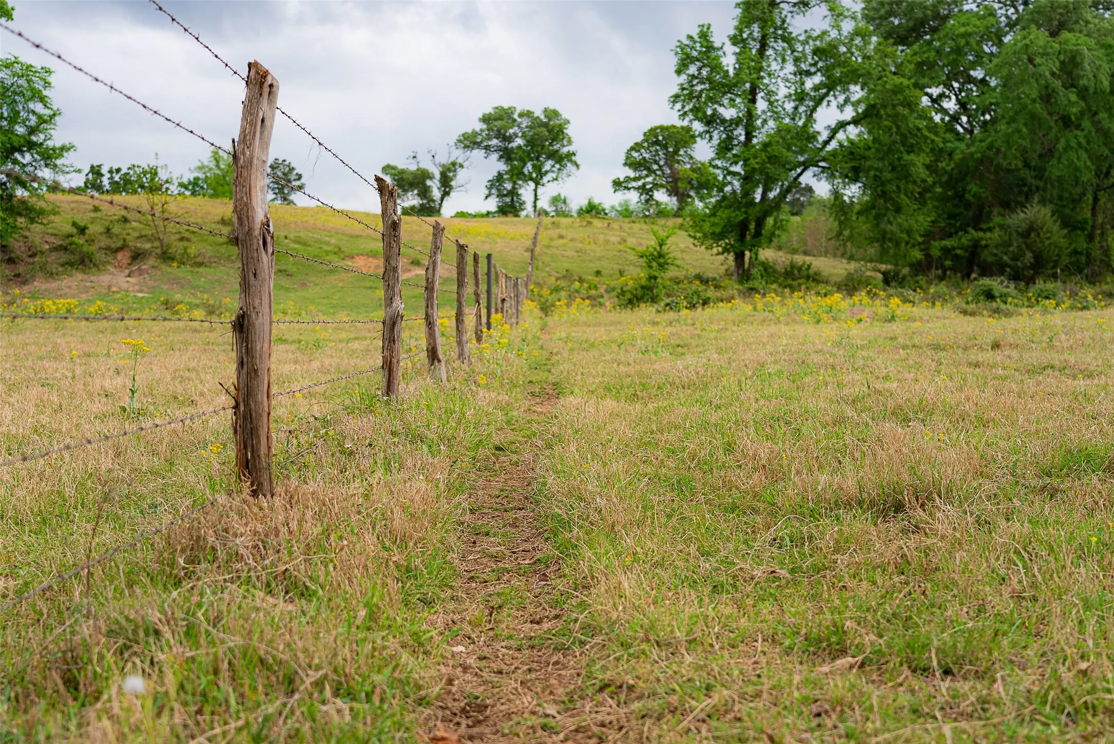 Improved Land For Sale in Cherokee County , 00 Tract 2 CR 1615, Jacksonville, Texas 75766, 0, 0, Garage spaces, 0 Sqft, built in 0, Price $365,000, mls#21236630, Real Estate Agent in Jacksonville, Homes For Sale in Cherokee county, Homes For Sale in Jacksonville, Realtor in Jacksonville Texas, Real Estate Brokerage Independent Realty Texas, Luminita Cordes Realtor