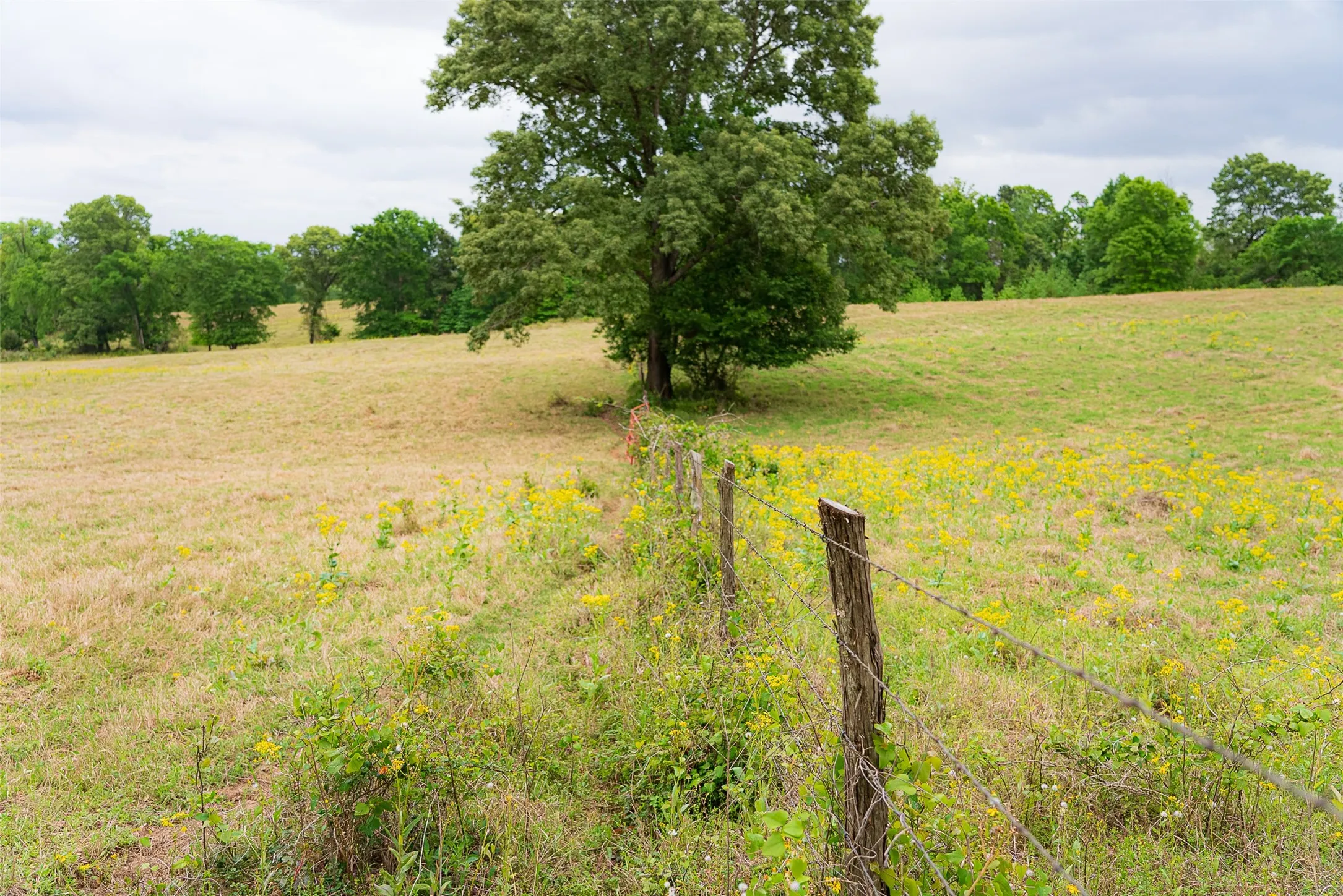 Improved Land For Sale in Cherokee County , 00 Tract 2 CR 1615, Jacksonville, Texas 75766, 0, 0, Garage spaces, 0 Sqft, built in 0, Price $365,000, mls#21236630, Real Estate Agent in Jacksonville, Homes For Sale in Cherokee county, Homes For Sale in Jacksonville, Realtor in Jacksonville Texas, Real Estate Brokerage Independent Realty Texas, Luminita Cordes Realtor