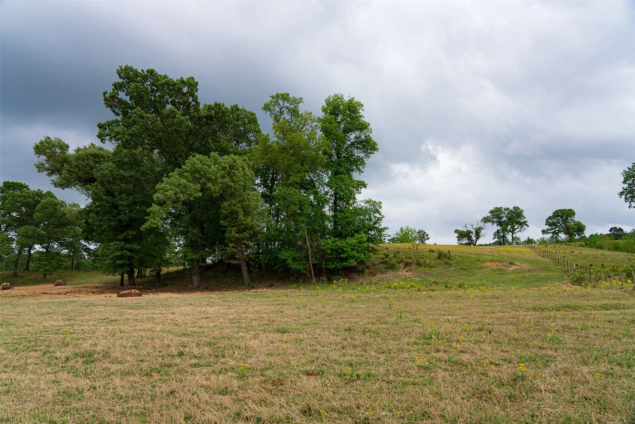 Improved Land For Sale in Cherokee County , 00 Tract 2 CR 1615, Jacksonville, Texas 75766, 0, 0, Garage spaces, 0 Sqft, built in 0, Price $365,000, mls#21236630, Real Estate Agent in Jacksonville, Homes For Sale in Cherokee county, Homes For Sale in Jacksonville, Realtor in Jacksonville Texas, Real Estate Brokerage Independent Realty Texas, Luminita Cordes Realtor