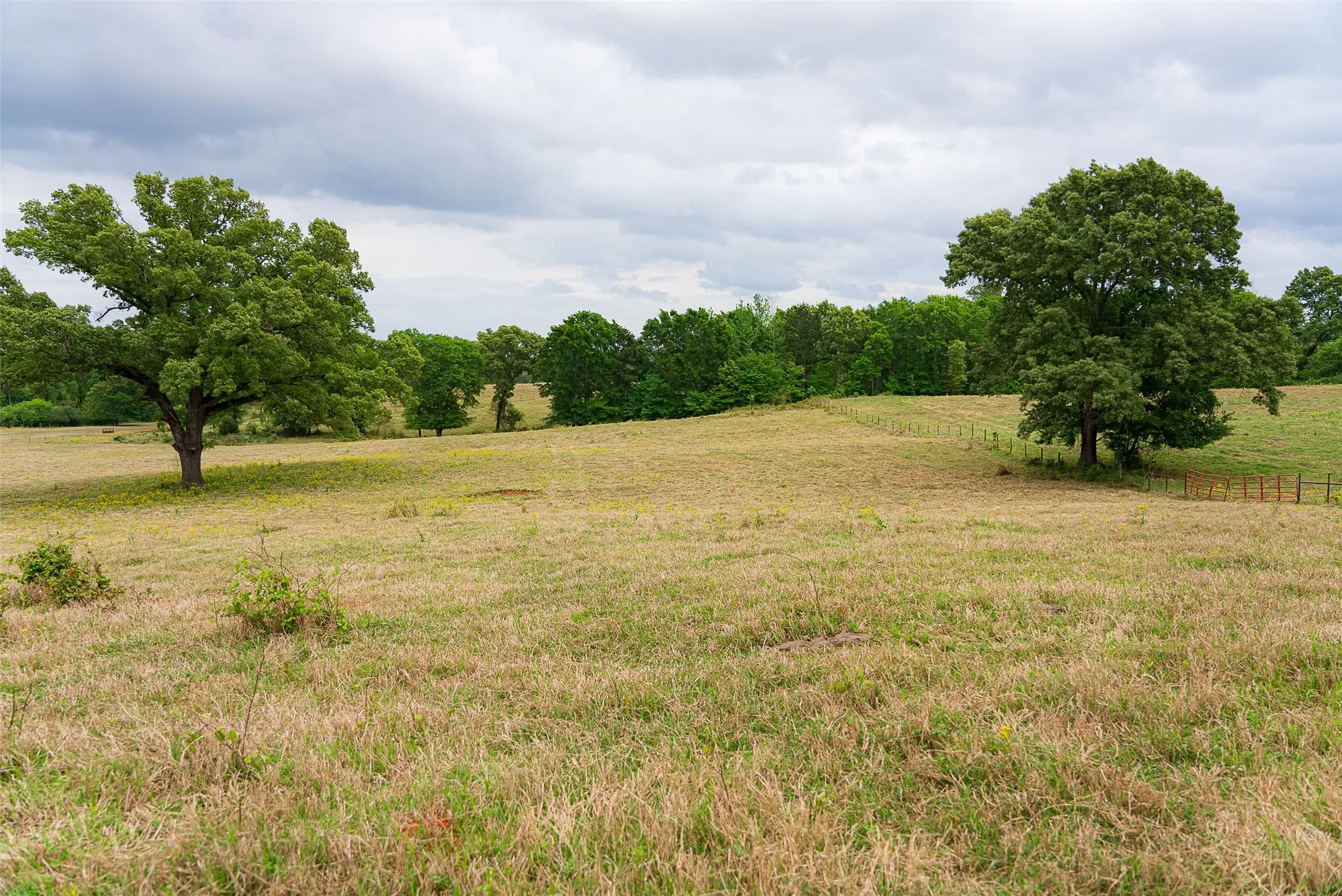 Improved Land For Sale in Cherokee County , 00 Tract 2 CR 1615, Jacksonville, Texas 75766, 0, 0, Garage spaces, 0 Sqft, built in 0, Price $365,000, mls#21236630, Real Estate Agent in Jacksonville, Homes For Sale in Cherokee county, Homes For Sale in Jacksonville, Realtor in Jacksonville Texas, Real Estate Brokerage Independent Realty Texas, Luminita Cordes Realtor