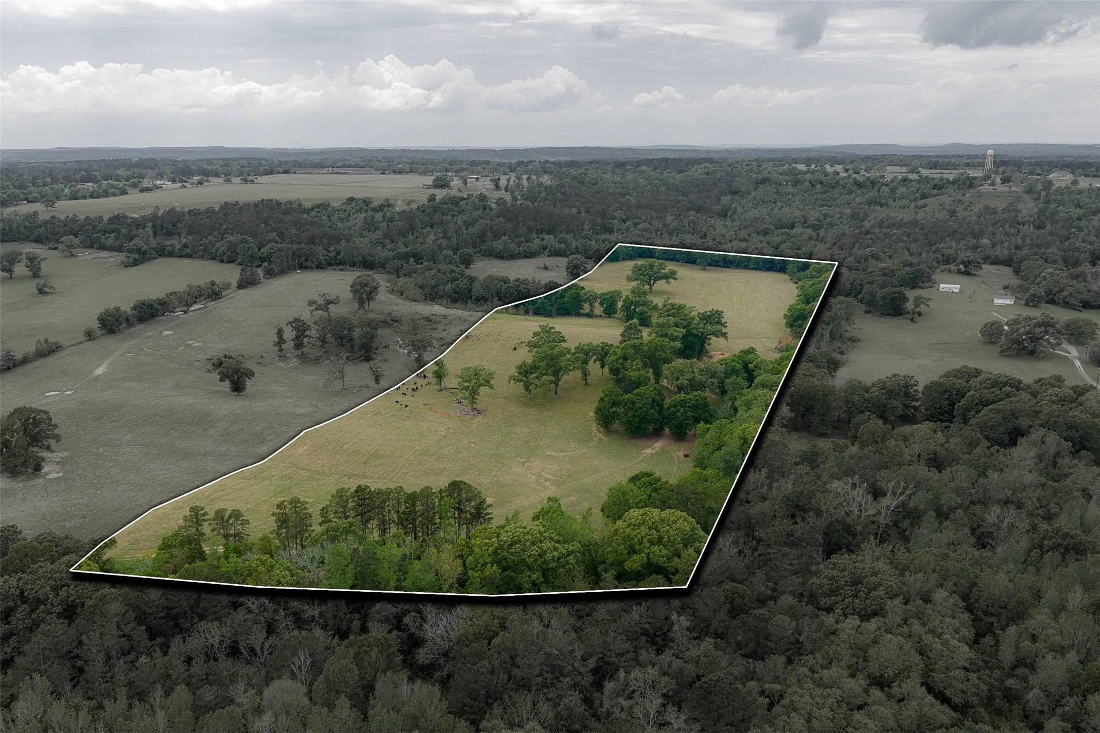 Improved Land For Sale in Cherokee County , 00 Tract 2 CR 1615, Jacksonville, Texas 75766, 0, 0, Garage spaces, 0 Sqft, built in 0, Price $365,000, mls#21236630, Real Estate Agent in Jacksonville, Homes For Sale in Cherokee county, Homes For Sale in Jacksonville, Realtor in Jacksonville Texas, Real Estate Brokerage Independent Realty Texas, Luminita Cordes Realtor