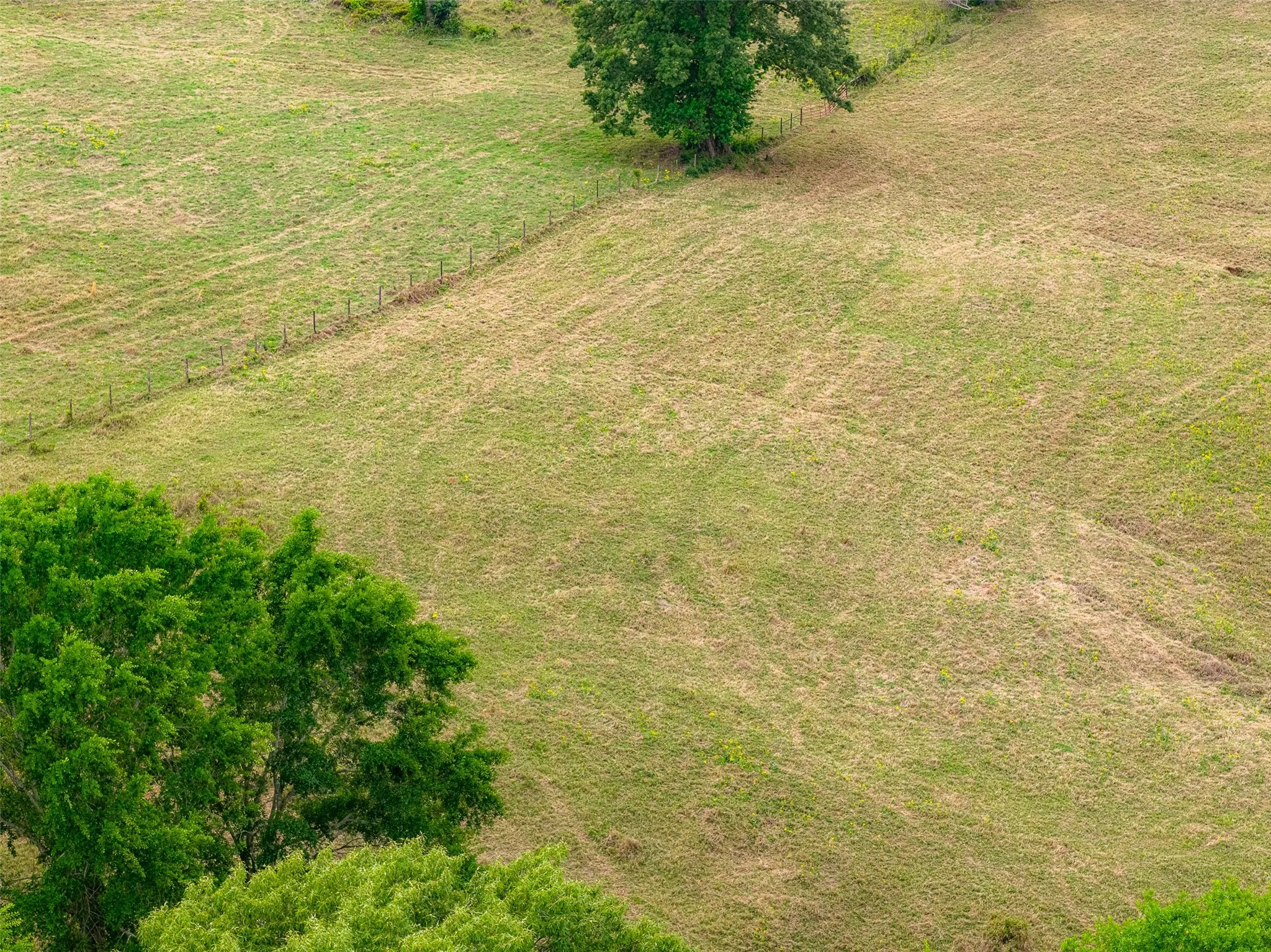 Improved Land For Sale in Cherokee County , 00 Tract 2 CR 1615, Jacksonville, Texas 75766, 0, 0, Garage spaces, 0 Sqft, built in 0, Price $365,000, mls#21236630, Real Estate Agent in Jacksonville, Homes For Sale in Cherokee county, Homes For Sale in Jacksonville, Realtor in Jacksonville Texas, Real Estate Brokerage Independent Realty Texas, Luminita Cordes Realtor