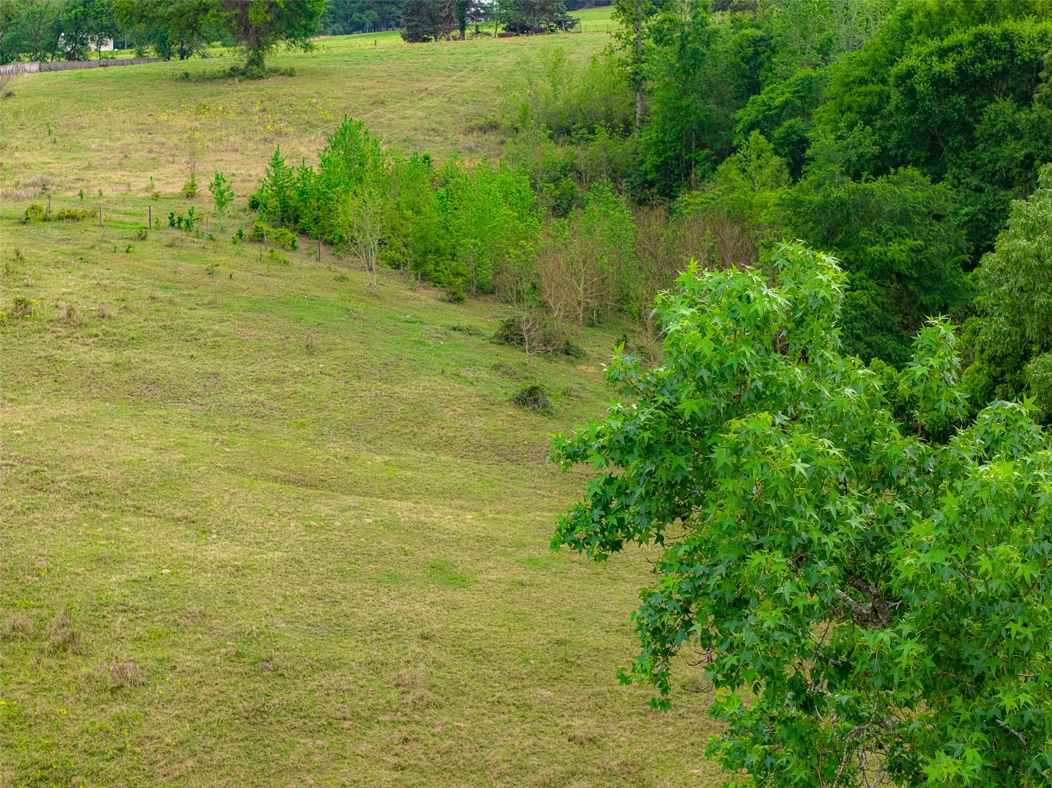 Improved Land For Sale in Cherokee County , 00 Tract 2 CR 1615, Jacksonville, Texas 75766, 0, 0, Garage spaces, 0 Sqft, built in 0, Price $365,000, mls#21236630, Real Estate Agent in Jacksonville, Homes For Sale in Cherokee county, Homes For Sale in Jacksonville, Realtor in Jacksonville Texas, Real Estate Brokerage Independent Realty Texas, Luminita Cordes Realtor