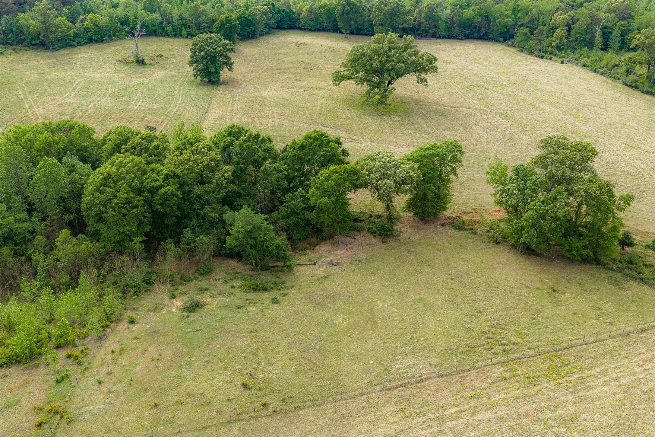 Improved Land For Sale in Cherokee County , 00 Tract 2 CR 1615, Jacksonville, Texas 75766, 0, 0, Garage spaces, 0 Sqft, built in 0, Price $365,000, mls#21236630, Real Estate Agent in Jacksonville, Homes For Sale in Cherokee county, Homes For Sale in Jacksonville, Realtor in Jacksonville Texas, Real Estate Brokerage Independent Realty Texas, Luminita Cordes Realtor