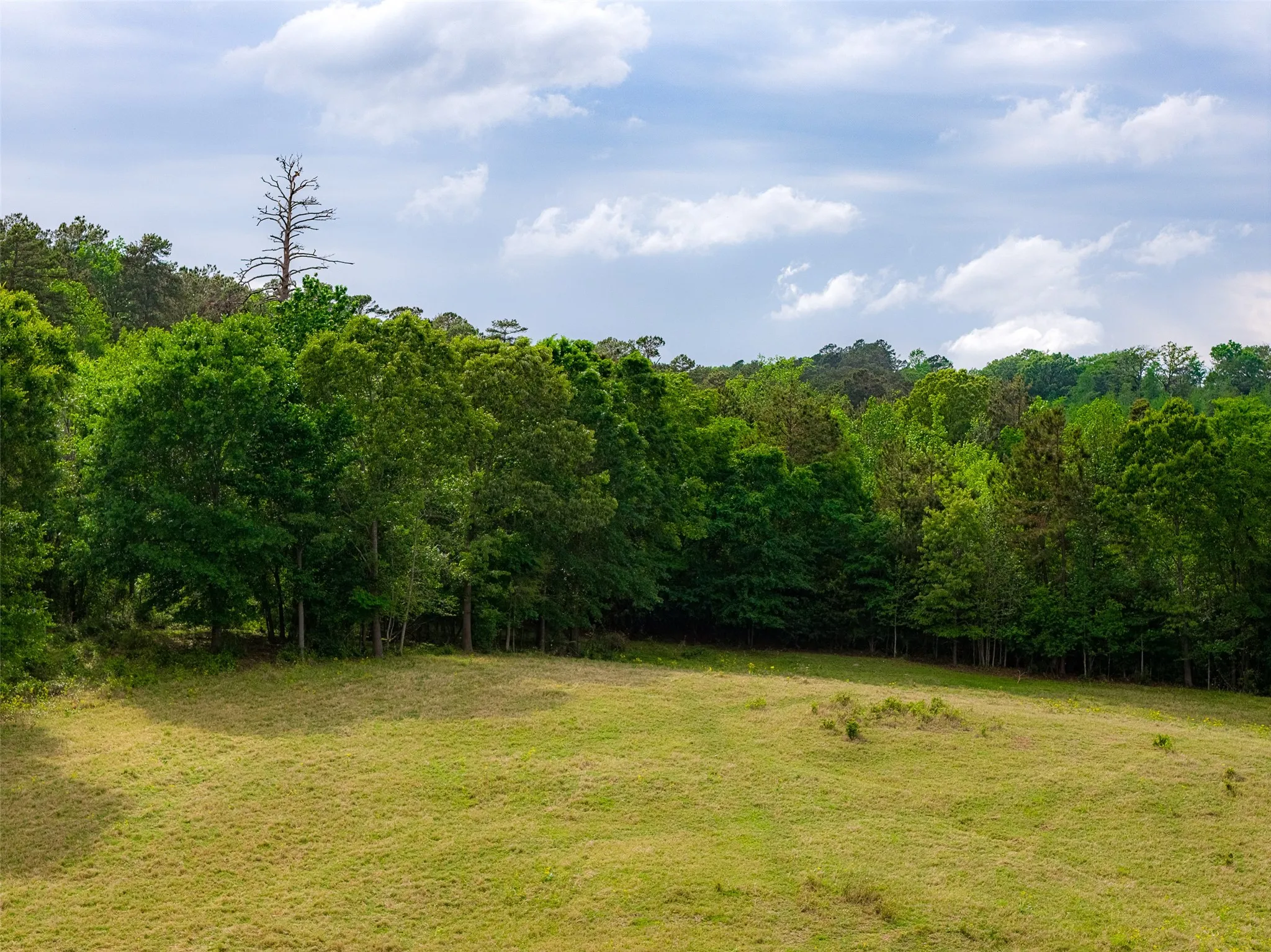 Improved Land For Sale in Cherokee County , 00 Tract 2 CR 1615, Jacksonville, Texas 75766, 0, 0, Garage spaces, 0 Sqft, built in 0, Price $365,000, mls#21236630, Real Estate Agent in Jacksonville, Homes For Sale in Cherokee county, Homes For Sale in Jacksonville, Realtor in Jacksonville Texas, Real Estate Brokerage Independent Realty Texas, Luminita Cordes Realtor