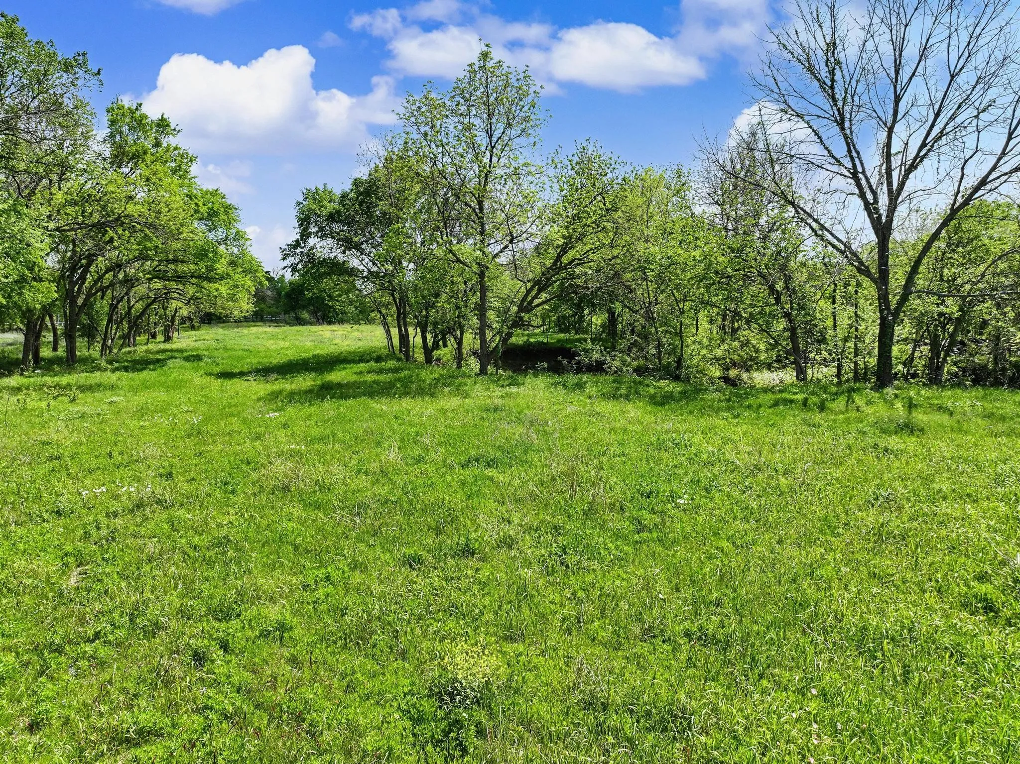 Unimproved Land For Sale in Grayson County , TBD Watkins Road, Sherman, Texas 75090, 0, 0, Garage spaces, 0 Sqft, built in 0, mls#21235091, Real Estate Agent in Sherman, Homes For Sale in Grayson county, Homes For Sale in Sherman, Realtor in Sherman Texas, Real Estate Brokerage Independent Realty Texas, Luminita Cordes Realtor