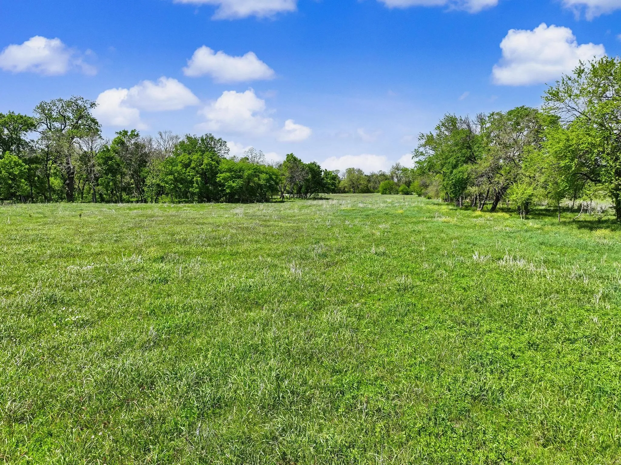 Unimproved Land For Sale in Grayson County , TBD Watkins Road, Sherman, Texas 75090, 0, 0, Garage spaces, 0 Sqft, built in 0, mls#21235091, Real Estate Agent in Sherman, Homes For Sale in Grayson county, Homes For Sale in Sherman, Realtor in Sherman Texas, Real Estate Brokerage Independent Realty Texas, Luminita Cordes Realtor