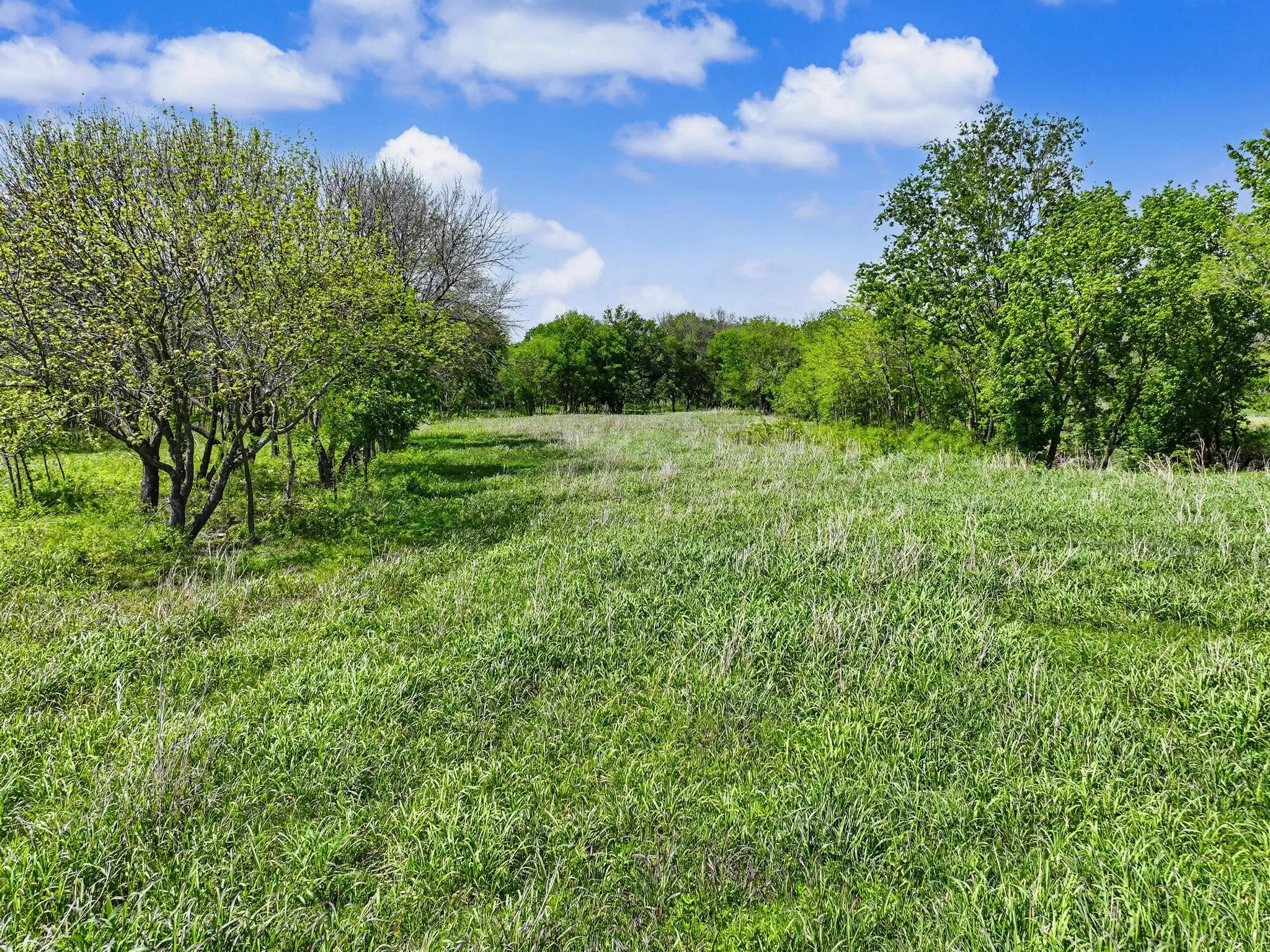 Unimproved Land For Sale in Grayson County , TBD Watkins Road, Sherman, Texas 75090, 0, 0, Garage spaces, 0 Sqft, built in 0, mls#21235091, Real Estate Agent in Sherman, Homes For Sale in Grayson county, Homes For Sale in Sherman, Realtor in Sherman Texas, Real Estate Brokerage Independent Realty Texas, Luminita Cordes Realtor
