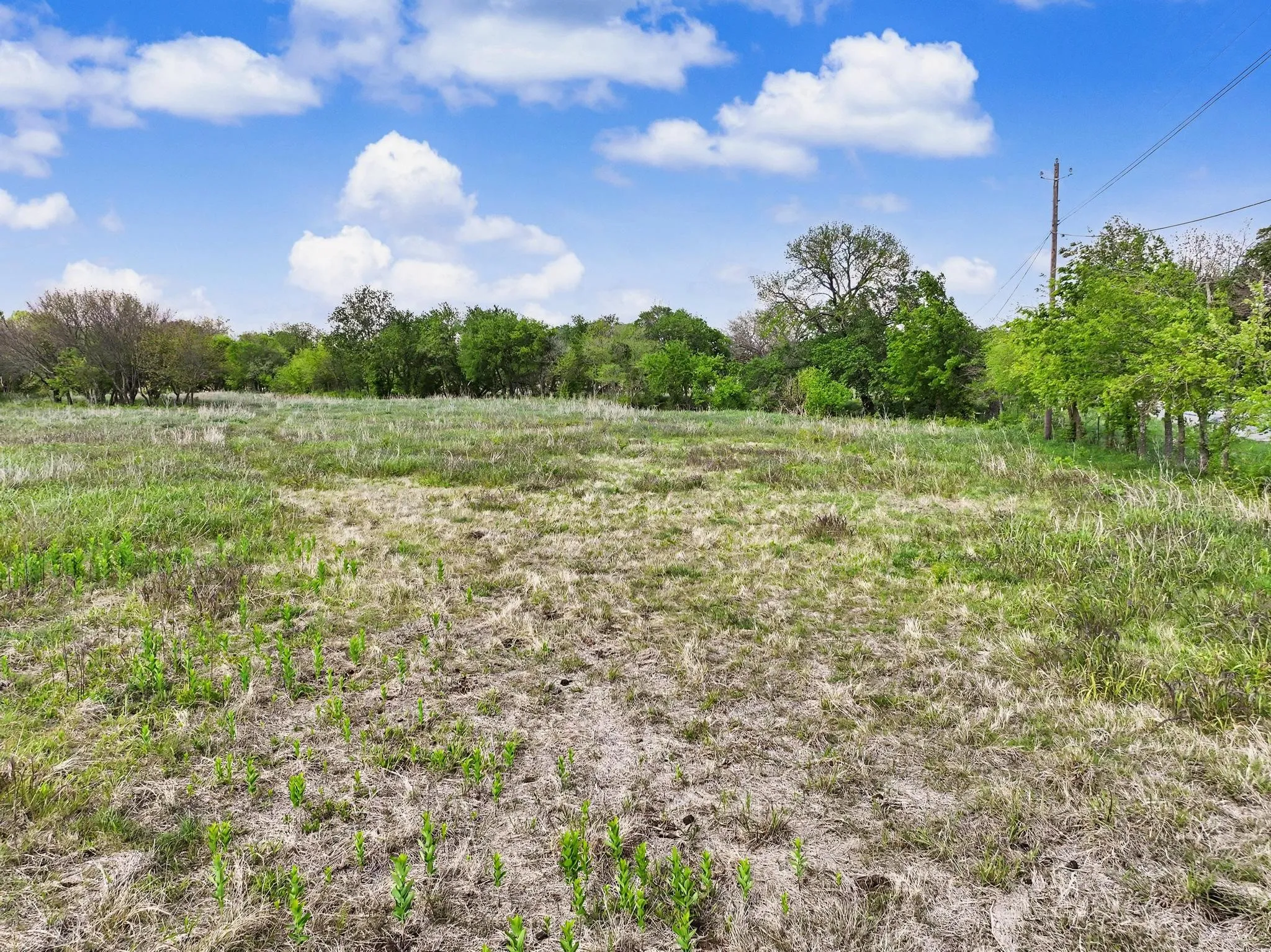 Unimproved Land For Sale in Grayson County , TBD Watkins Road, Sherman, Texas 75090, 0, 0, Garage spaces, 0 Sqft, built in 0, mls#21235091, Real Estate Agent in Sherman, Homes For Sale in Grayson county, Homes For Sale in Sherman, Realtor in Sherman Texas, Real Estate Brokerage Independent Realty Texas, Luminita Cordes Realtor