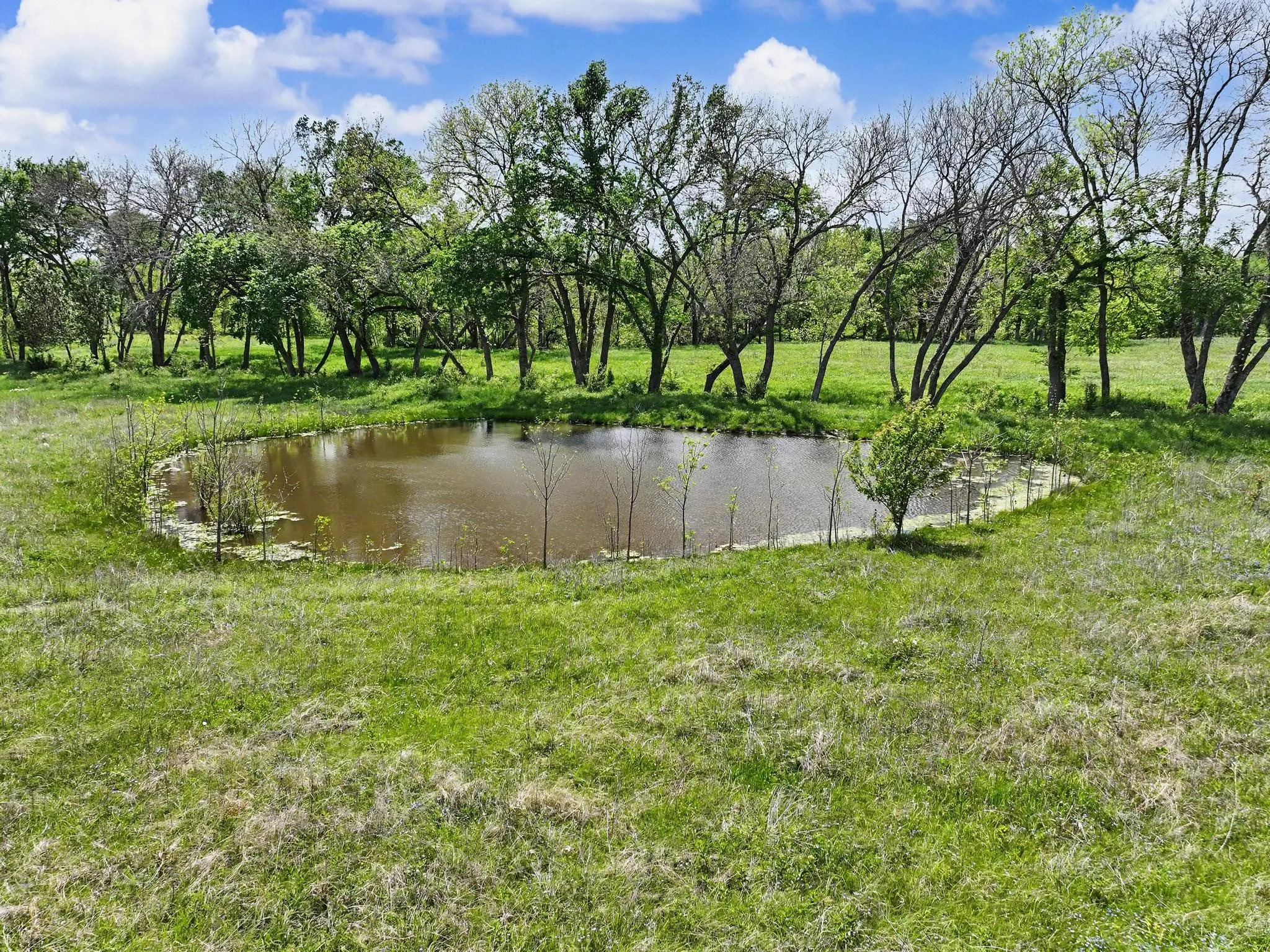 Unimproved Land For Sale in Grayson County , TBD Watkins Road, Sherman, Texas 75090, 0, 0, Garage spaces, 0 Sqft, built in 0, mls#21235091, Real Estate Agent in Sherman, Homes For Sale in Grayson county, Homes For Sale in Sherman, Realtor in Sherman Texas, Real Estate Brokerage Independent Realty Texas, Luminita Cordes Realtor