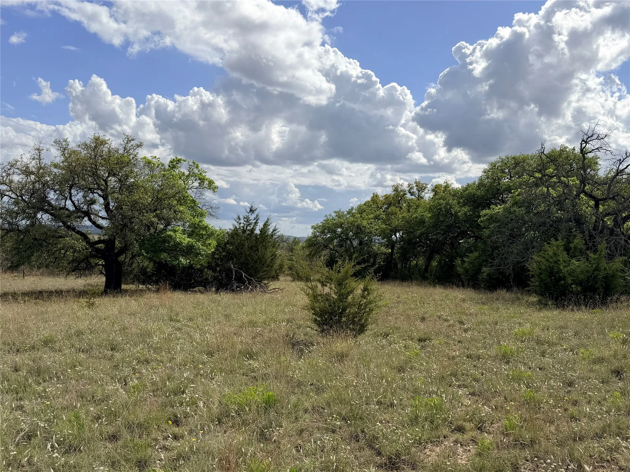 Ranch For Sale in Mills County , 221B CR 250, Star, Texas 76880, 0, 0, Garage spaces, 0 Sqft, built in 0, mls#21236698, Real Estate Agent in Star, Homes For Sale in Mills county, Homes For Sale in Star, Realtor in Star Texas, Real Estate Brokerage Independent Realty Texas, Luminita Cordes Realtor