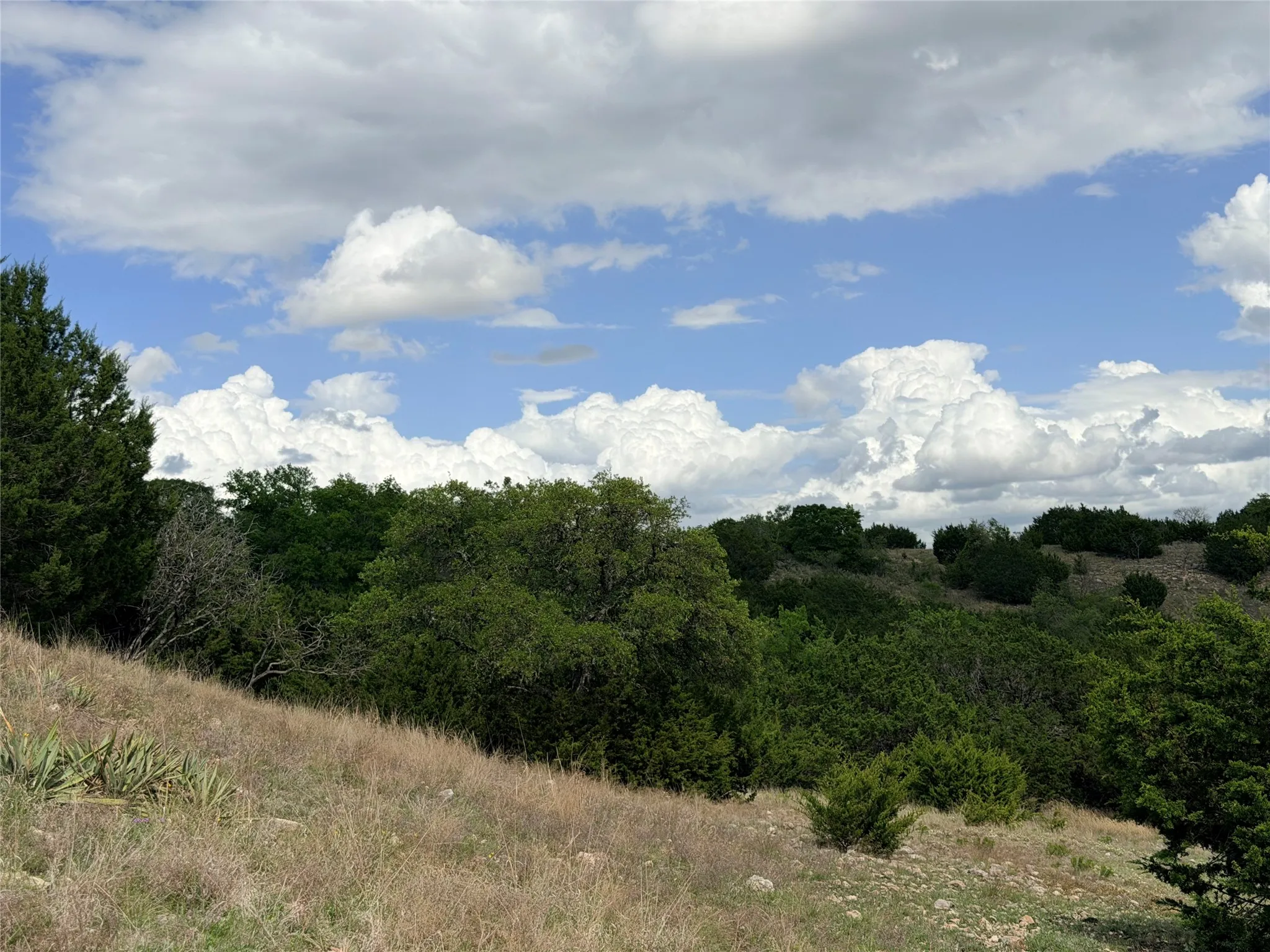 Ranch For Sale in Mills County , 221B CR 250, Star, Texas 76880, 0, 0, Garage spaces, 0 Sqft, built in 0, mls#21236698, Real Estate Agent in Star, Homes For Sale in Mills county, Homes For Sale in Star, Realtor in Star Texas, Real Estate Brokerage Independent Realty Texas, Luminita Cordes Realtor