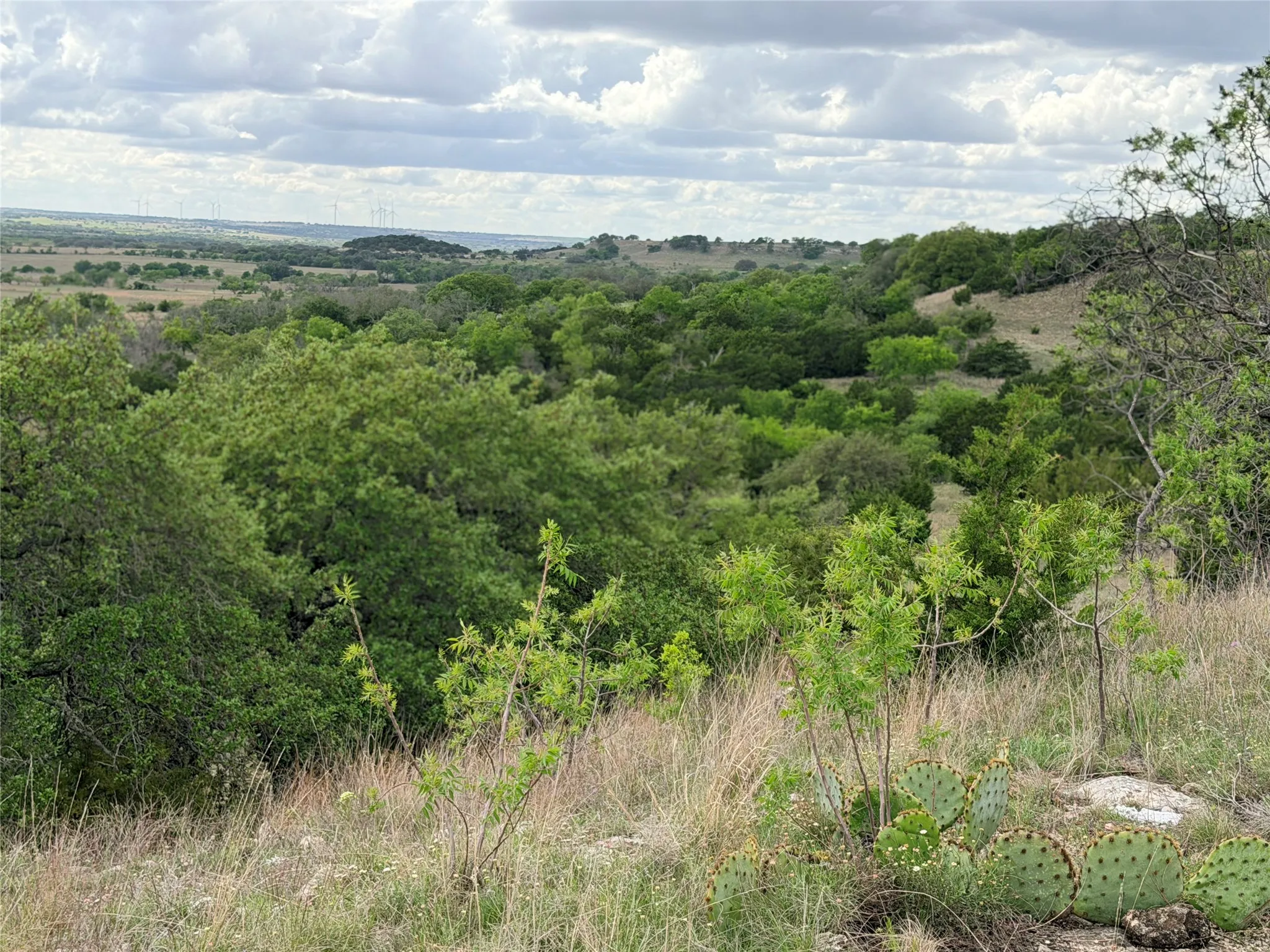 Ranch For Sale in Mills County , 221B CR 250, Star, Texas 76880, 0, 0, Garage spaces, 0 Sqft, built in 0, mls#21236698, Real Estate Agent in Star, Homes For Sale in Mills county, Homes For Sale in Star, Realtor in Star Texas, Real Estate Brokerage Independent Realty Texas, Luminita Cordes Realtor