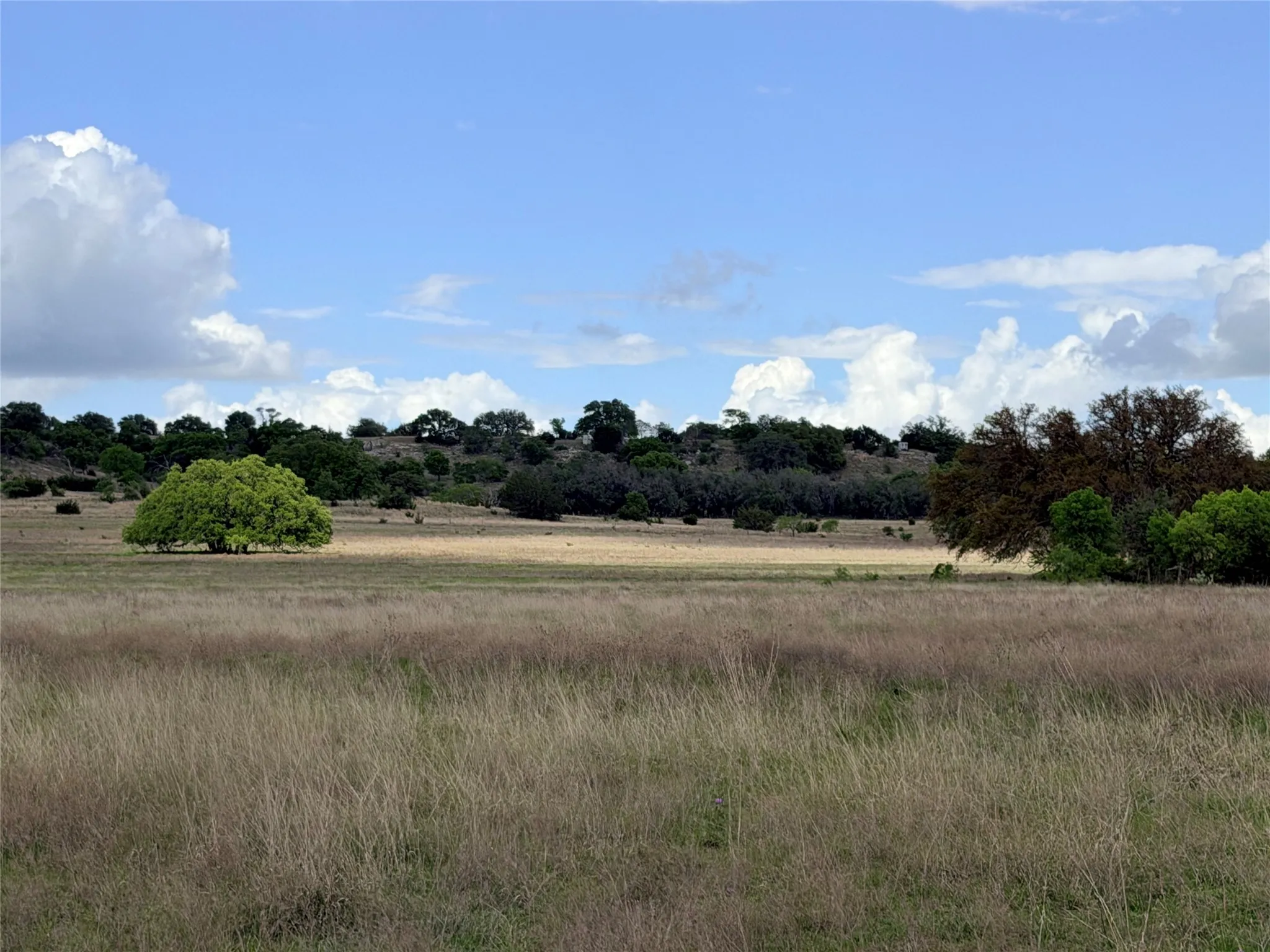 Ranch For Sale in Mills County , 221A CR 250, Star, Texas 76880, 0, 0, Garage spaces, 0 Sqft, built in 0, mls#21236701, Real Estate Agent in Star, Homes For Sale in Mills county, Homes For Sale in Star, Realtor in Star Texas, Real Estate Brokerage Independent Realty Texas, Luminita Cordes Realtor