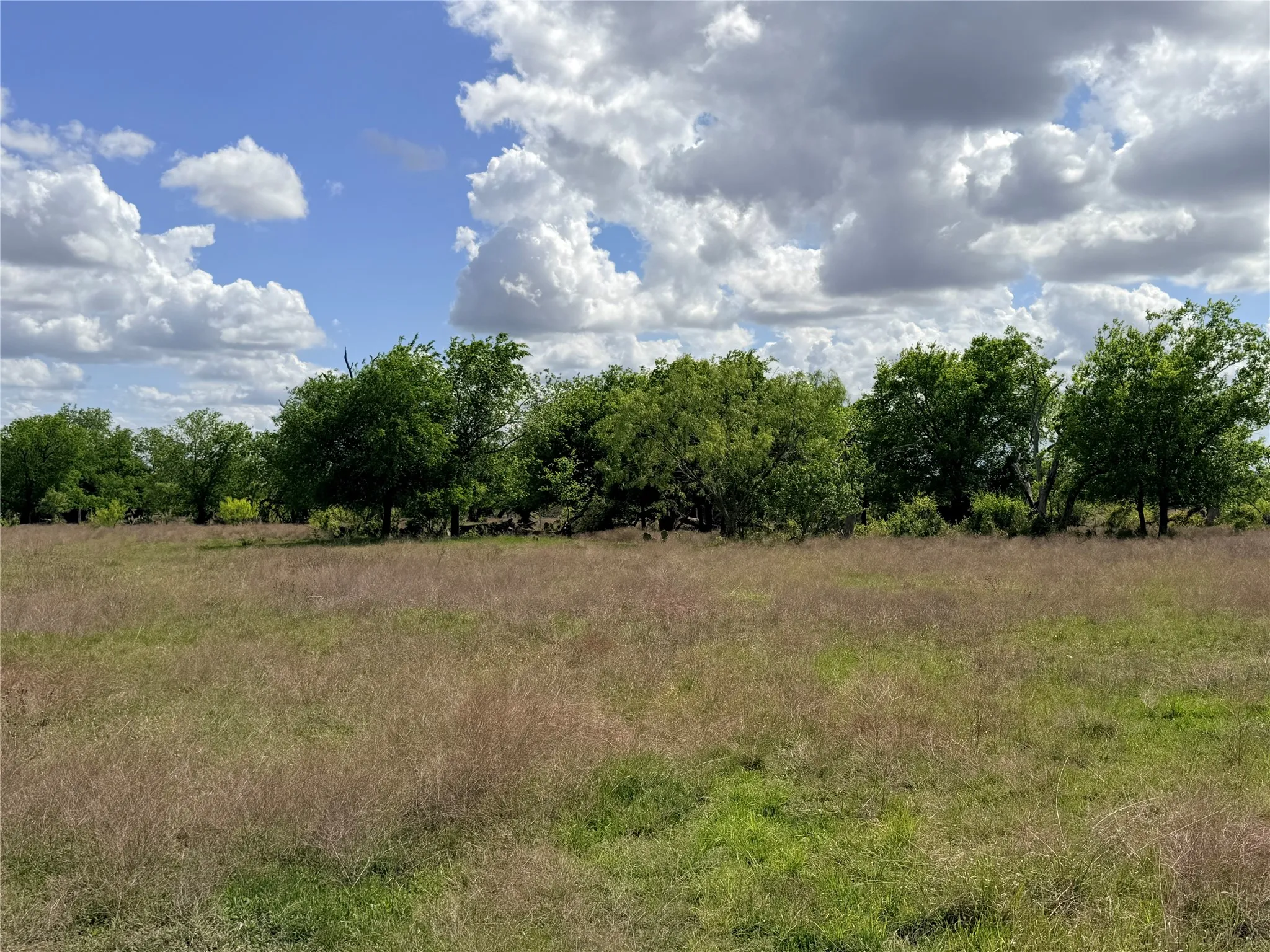Ranch For Sale in Mills County , 221A CR 250, Star, Texas 76880, 0, 0, Garage spaces, 0 Sqft, built in 0, mls#21236701, Real Estate Agent in Star, Homes For Sale in Mills county, Homes For Sale in Star, Realtor in Star Texas, Real Estate Brokerage Independent Realty Texas, Luminita Cordes Realtor
