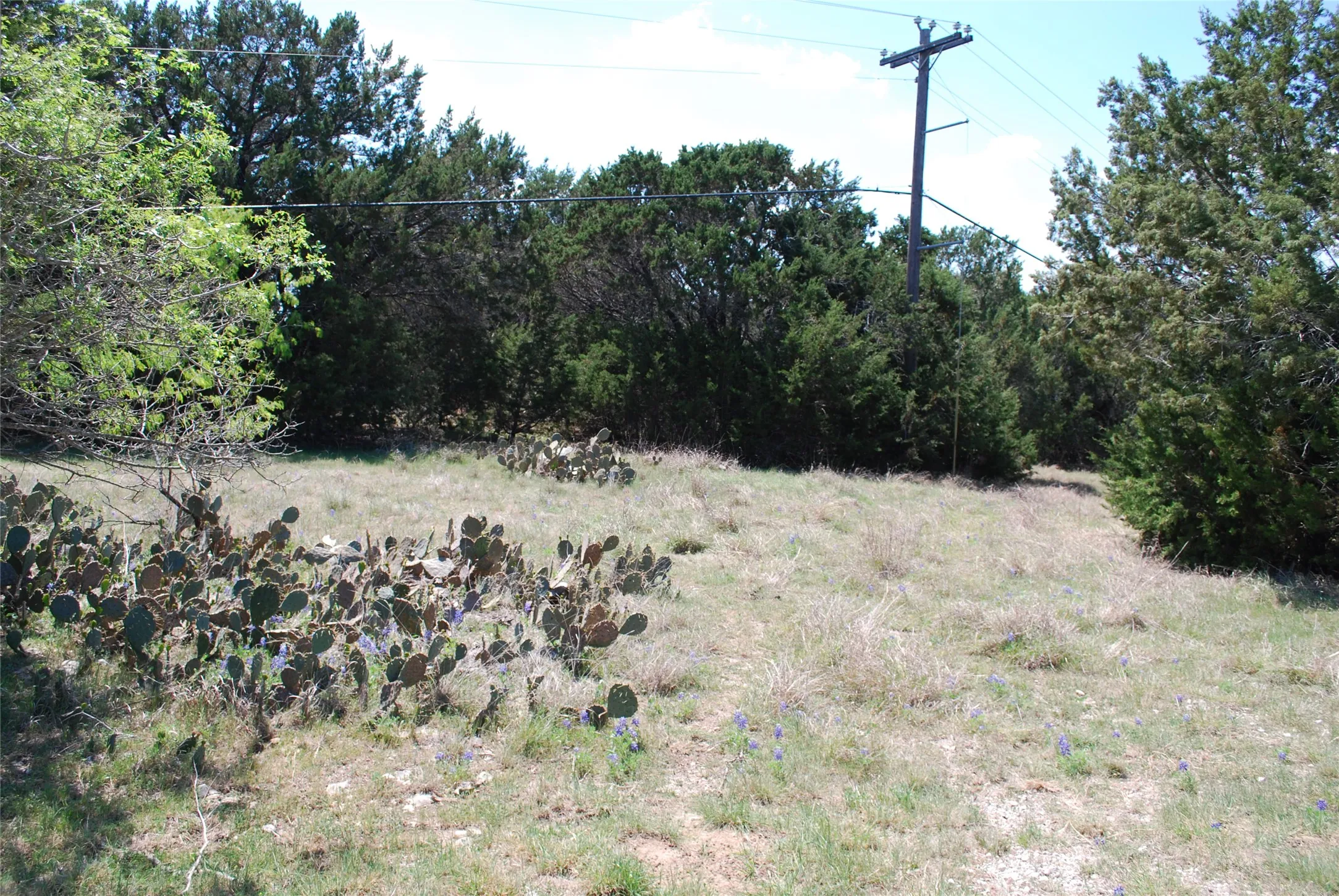 Unimproved Land For Sale in Hill County , 19016 Bluebonnet Drive, Whitney, Texas 76692, 0, 0, Garage spaces, 0 Sqft, built in 0, Price $57,000, mls#21223759, Real Estate Agent in Whitney, Homes For Sale in Hill county, Homes For Sale in Whitney, Realtor in Whitney Texas, Real Estate Brokerage Independent Realty Texas, Luminita Cordes Realtor
