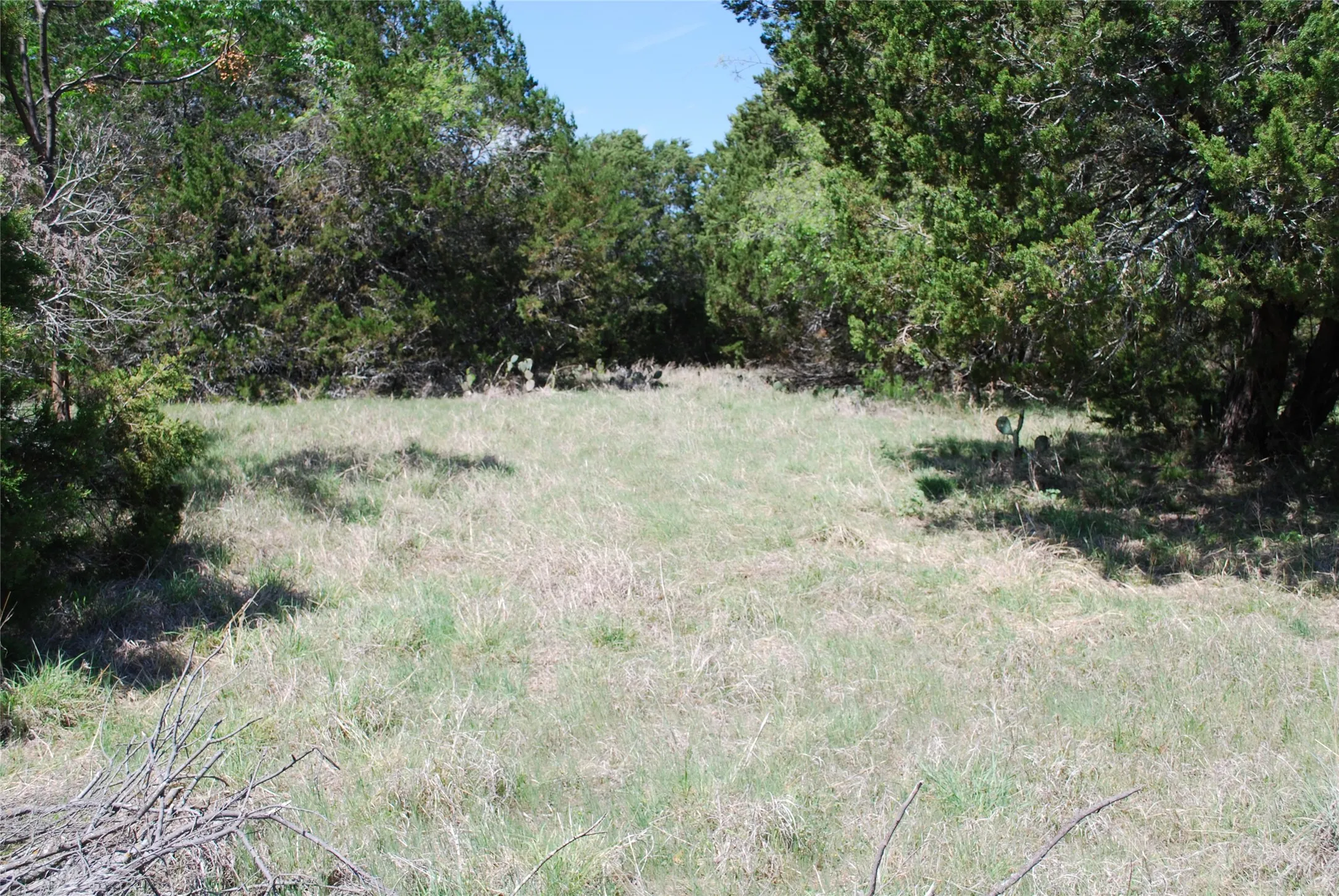 Unimproved Land For Sale in Hill County , 19016 Bluebonnet Drive, Whitney, Texas 76692, 0, 0, Garage spaces, 0 Sqft, built in 0, Price $57,000, mls#21223759, Real Estate Agent in Whitney, Homes For Sale in Hill county, Homes For Sale in Whitney, Realtor in Whitney Texas, Real Estate Brokerage Independent Realty Texas, Luminita Cordes Realtor