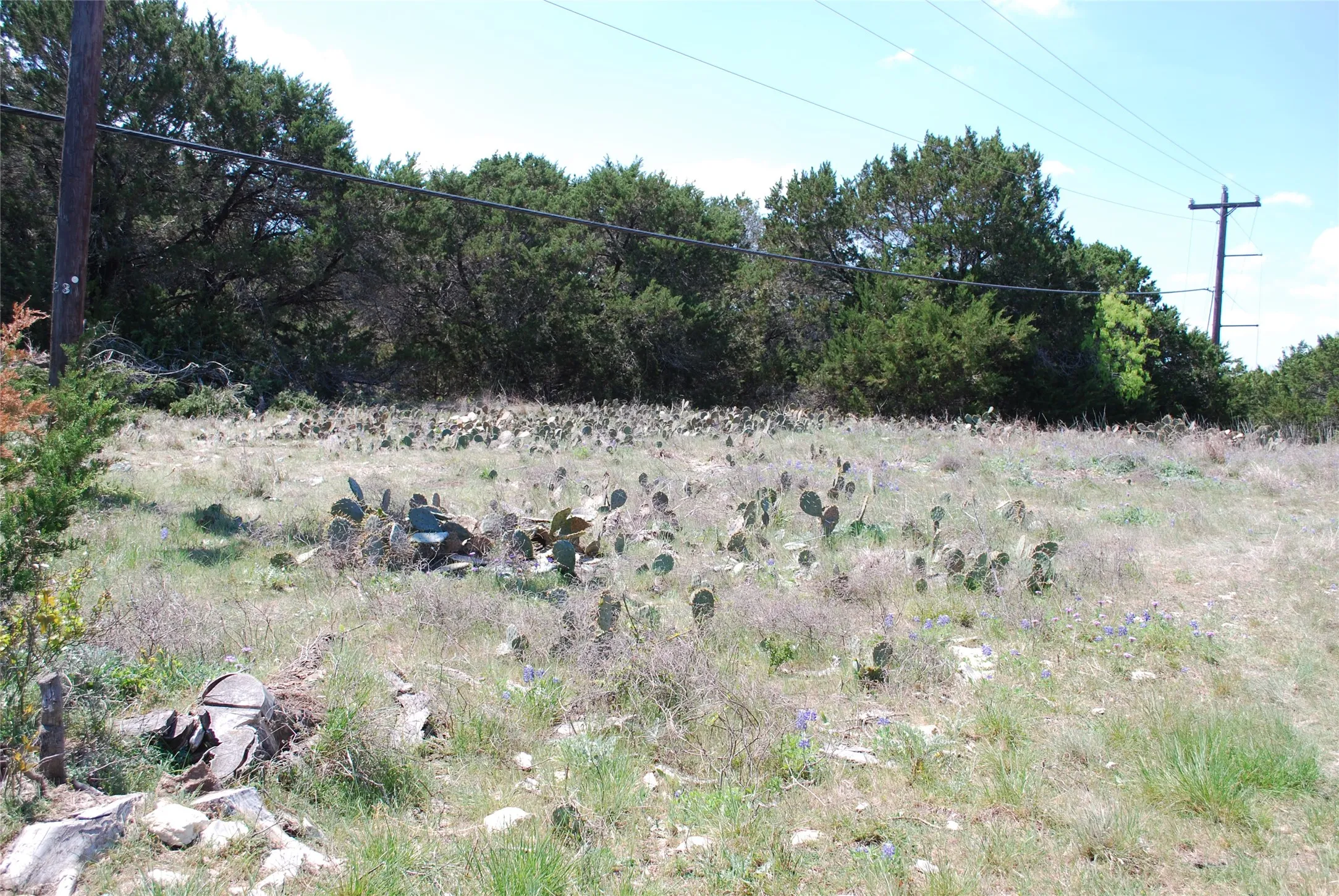 Unimproved Land For Sale in Hill County , 19016 Bluebonnet Drive, Whitney, Texas 76692, 0, 0, Garage spaces, 0 Sqft, built in 0, Price $57,000, mls#21223759, Real Estate Agent in Whitney, Homes For Sale in Hill county, Homes For Sale in Whitney, Realtor in Whitney Texas, Real Estate Brokerage Independent Realty Texas, Luminita Cordes Realtor
