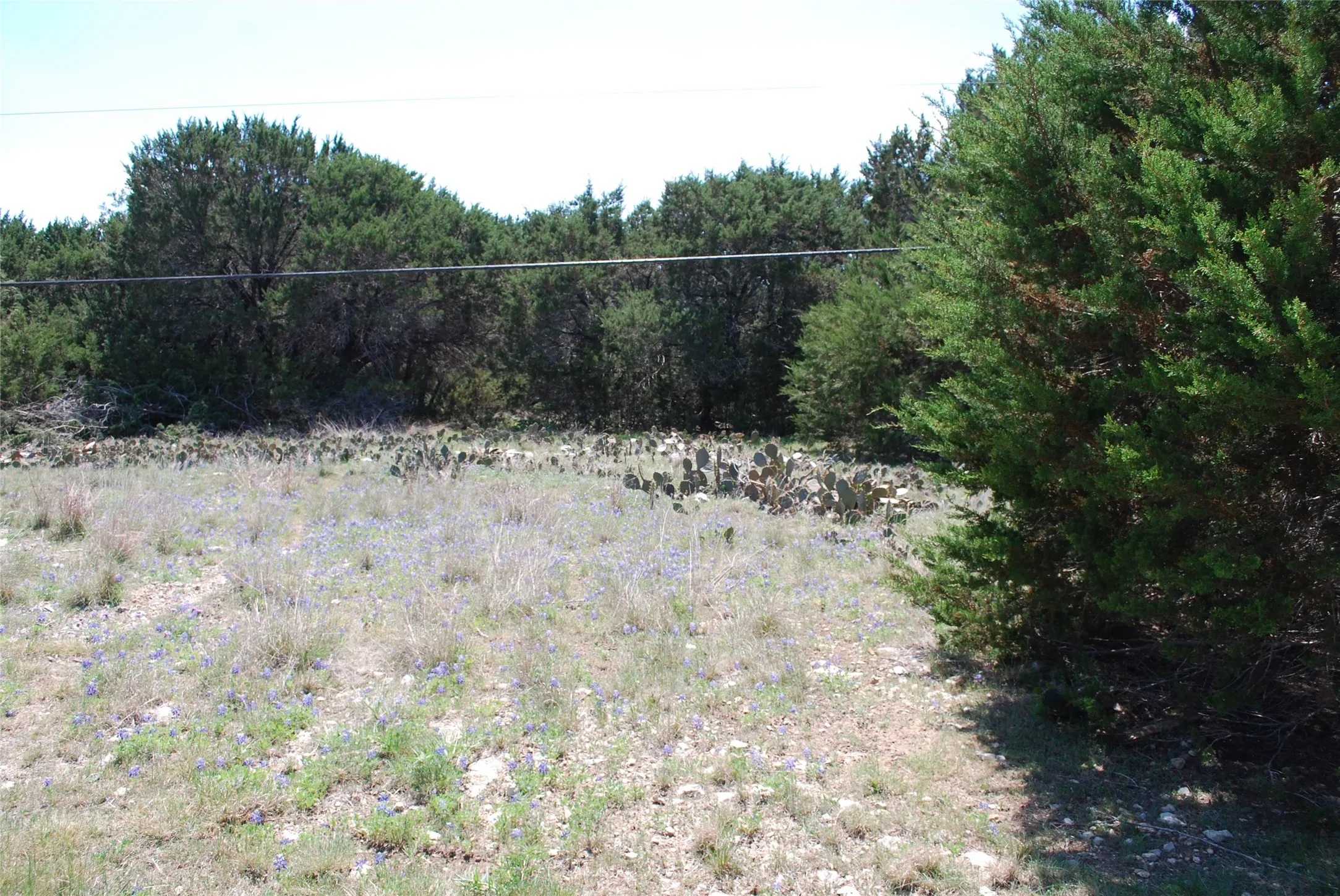 Unimproved Land For Sale in Hill County , 19016 Bluebonnet Drive, Whitney, Texas 76692, 0, 0, Garage spaces, 0 Sqft, built in 0, Price $57,000, mls#21223759, Real Estate Agent in Whitney, Homes For Sale in Hill county, Homes For Sale in Whitney, Realtor in Whitney Texas, Real Estate Brokerage Independent Realty Texas, Luminita Cordes Realtor