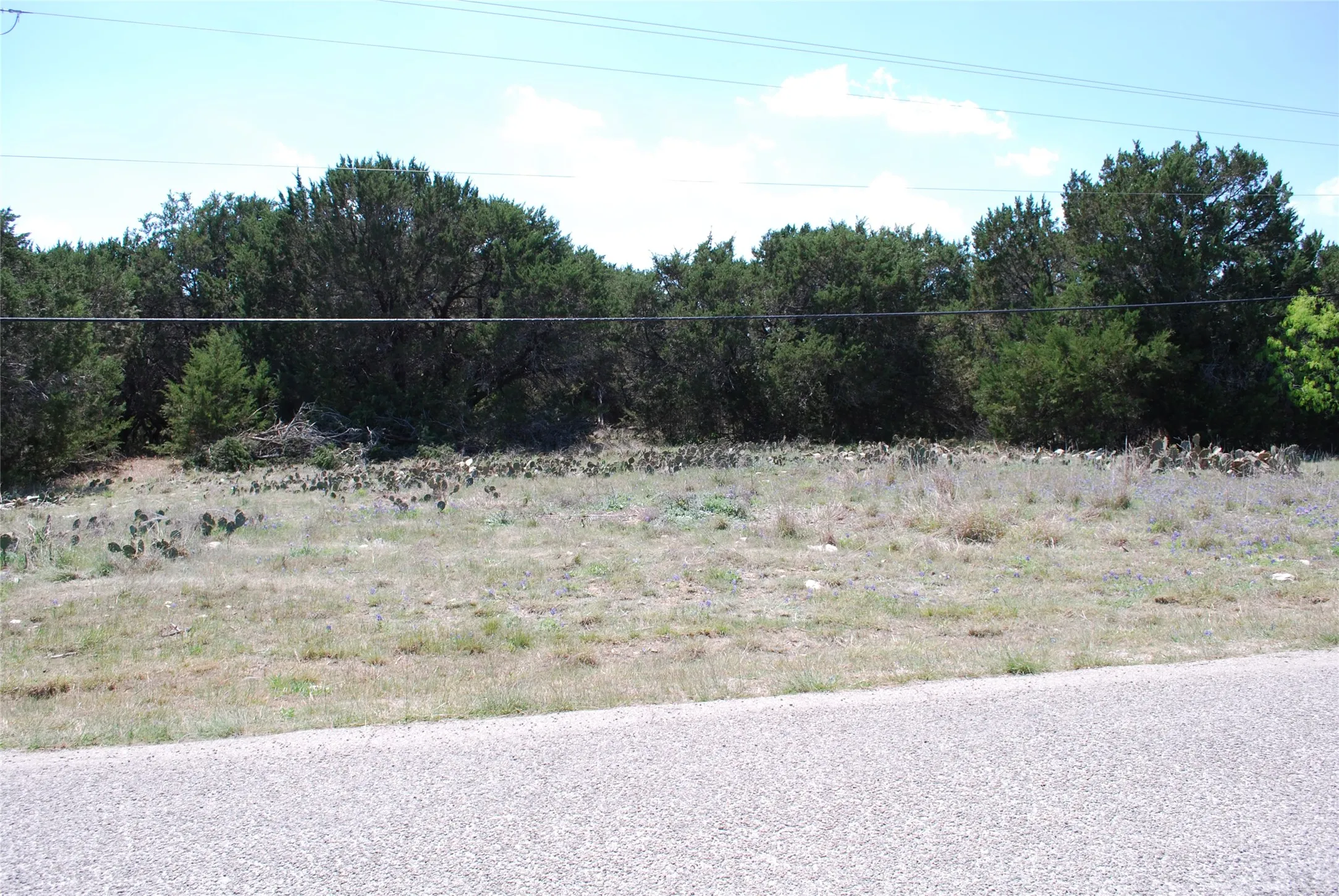 Unimproved Land For Sale in Hill County , 19016 Bluebonnet Drive, Whitney, Texas 76692, 0, 0, Garage spaces, 0 Sqft, built in 0, Price $57,000, mls#21223759, Real Estate Agent in Whitney, Homes For Sale in Hill county, Homes For Sale in Whitney, Realtor in Whitney Texas, Real Estate Brokerage Independent Realty Texas, Luminita Cordes Realtor