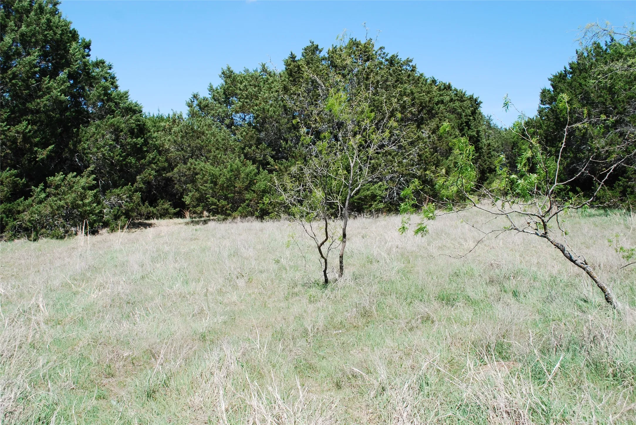 Unimproved Land For Sale in Hill County , 19016 Bluebonnet Drive, Whitney, Texas 76692, 0, 0, Garage spaces, 0 Sqft, built in 0, Price $57,000, mls#21223759, Real Estate Agent in Whitney, Homes For Sale in Hill county, Homes For Sale in Whitney, Realtor in Whitney Texas, Real Estate Brokerage Independent Realty Texas, Luminita Cordes Realtor