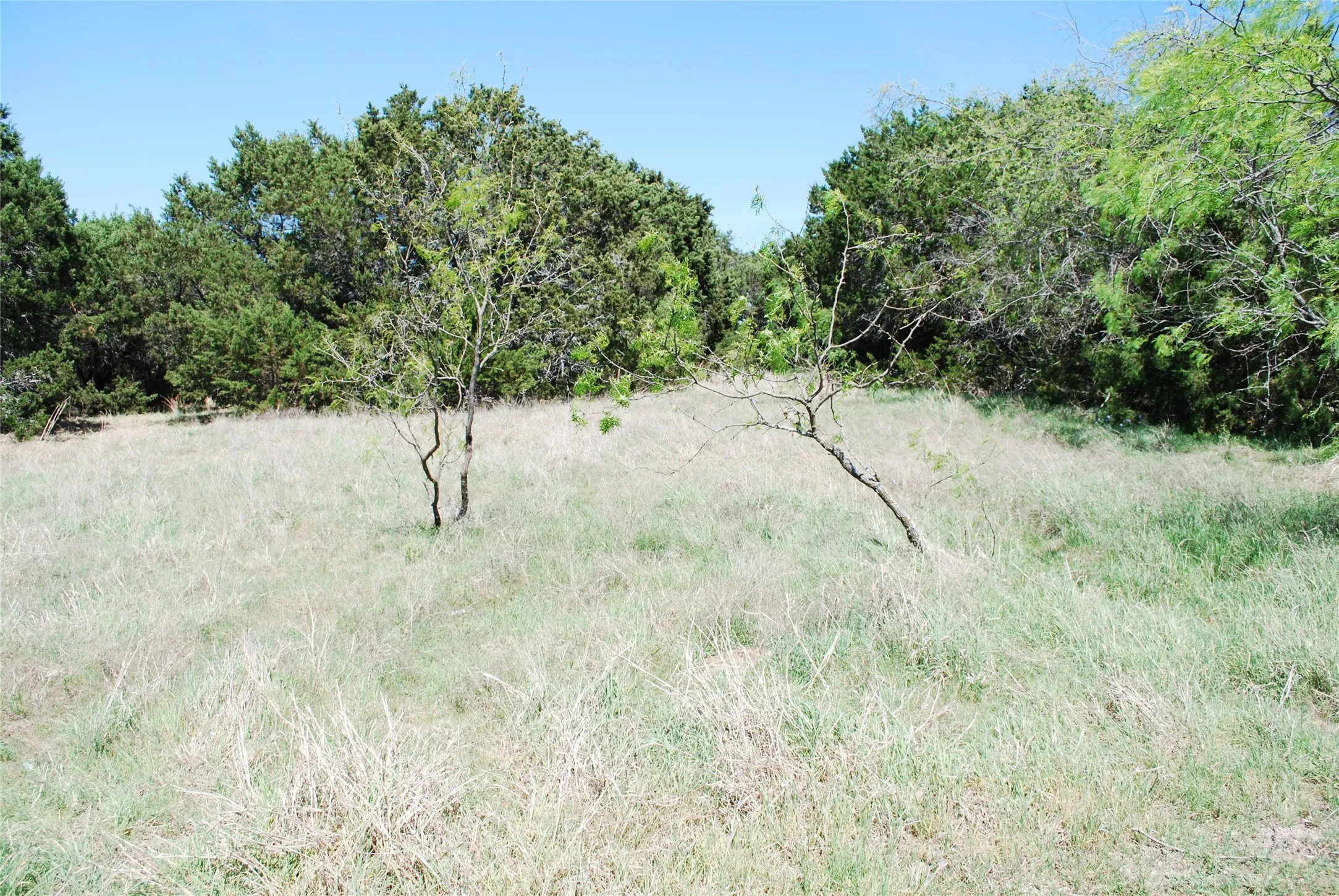 Unimproved Land For Sale in Hill County , 19016 Bluebonnet Drive, Whitney, Texas 76692, 0, 0, Garage spaces, 0 Sqft, built in 0, Price $57,000, mls#21223759, Real Estate Agent in Whitney, Homes For Sale in Hill county, Homes For Sale in Whitney, Realtor in Whitney Texas, Real Estate Brokerage Independent Realty Texas, Luminita Cordes Realtor