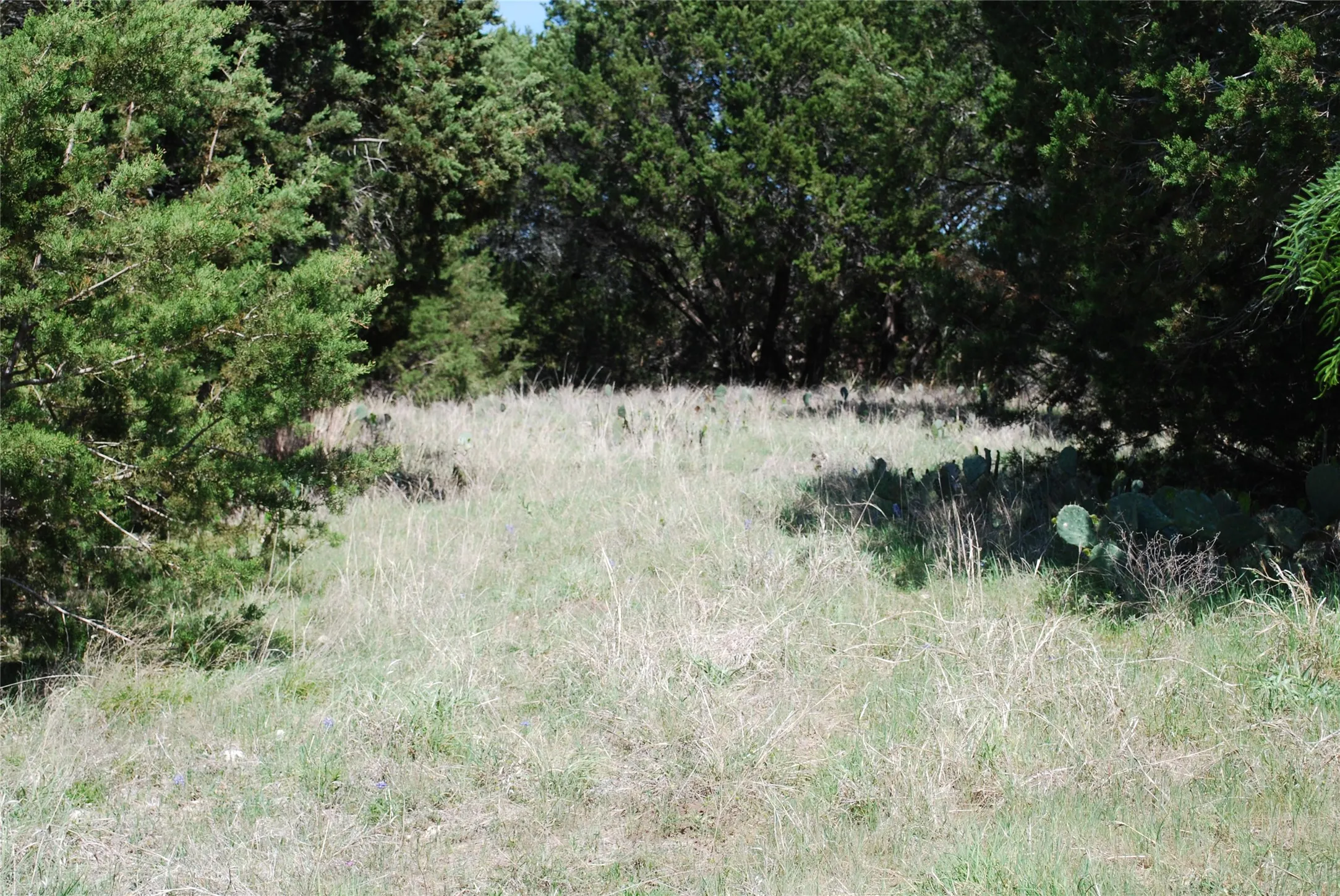 Unimproved Land For Sale in Hill County , 19016 Bluebonnet Drive, Whitney, Texas 76692, 0, 0, Garage spaces, 0 Sqft, built in 0, Price $57,000, mls#21223759, Real Estate Agent in Whitney, Homes For Sale in Hill county, Homes For Sale in Whitney, Realtor in Whitney Texas, Real Estate Brokerage Independent Realty Texas, Luminita Cordes Realtor