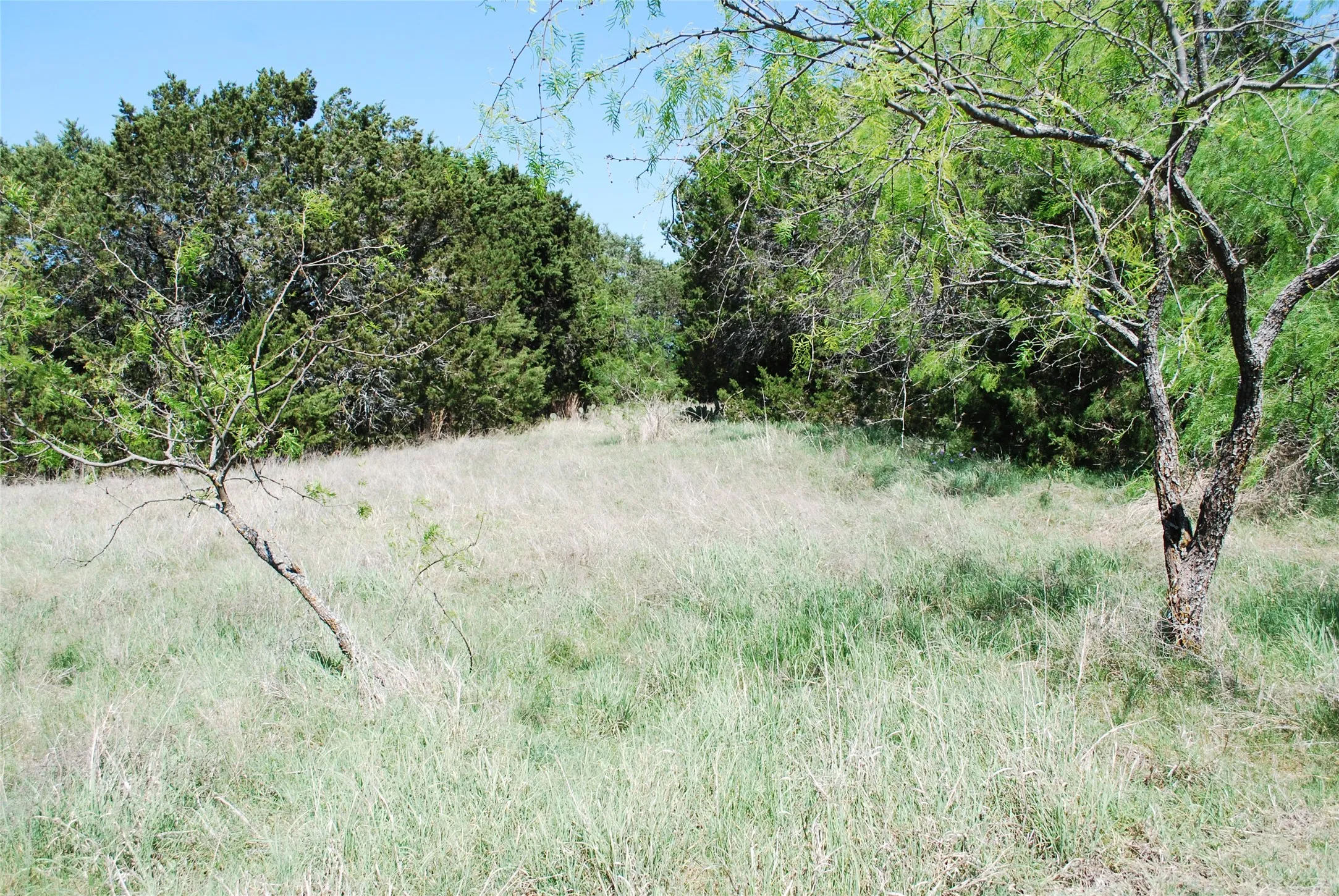 Unimproved Land For Sale in Hill County , 19016 Bluebonnet Drive, Whitney, Texas 76692, 0, 0, Garage spaces, 0 Sqft, built in 0, Price $57,000, mls#21223759, Real Estate Agent in Whitney, Homes For Sale in Hill county, Homes For Sale in Whitney, Realtor in Whitney Texas, Real Estate Brokerage Independent Realty Texas, Luminita Cordes Realtor
