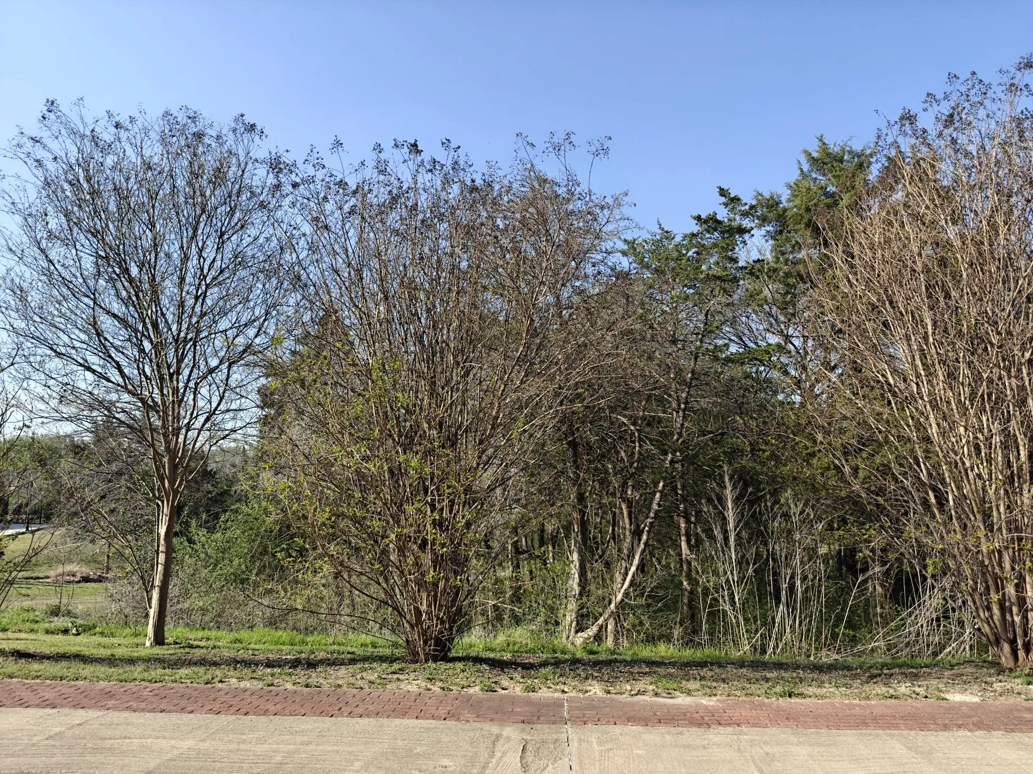 Unimproved Land For Sale in Ellis County , 4021 Waters Edge Drive, Midlothian, Texas 76065, 0, 0, Garage spaces, 0 Sqft, built in 0, mls#21236763, Real Estate Agent in Midlothian, Homes For Sale in Ellis county, Homes For Sale in Midlothian, Realtor in Midlothian Texas, Real Estate Brokerage Independent Realty Texas, Luminita Cordes Realtor