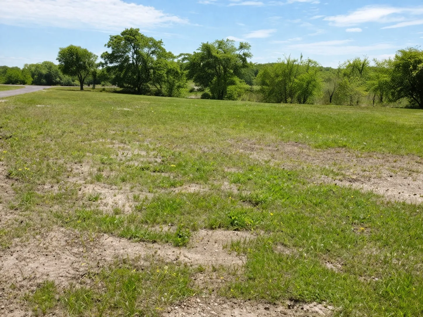 View of undeveloped land