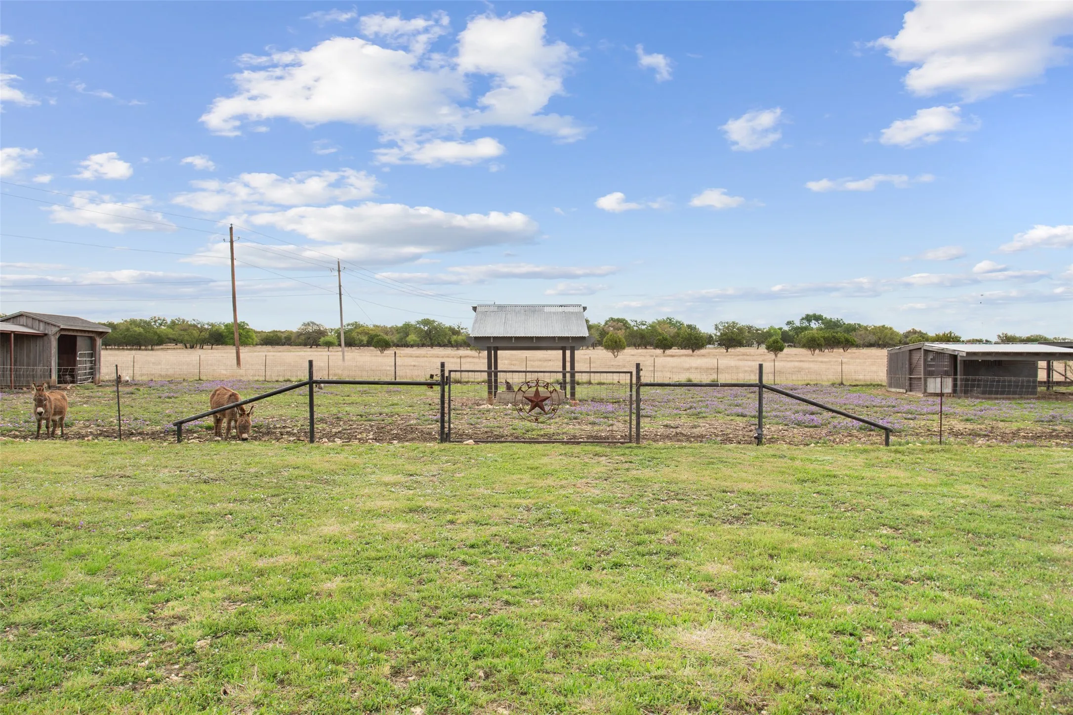 Single Family Residence For Sale in Coryell County , 474 Private Road 305, Gatesville, Texas 76528, 4 Bedroom, 5 Bathroom, 1 Garage spaces, 3,848 Sqft, built in 2018, Preowned, mls#21236316, Real Estate Agent in Gatesville, Homes For Sale in Coryell county, Homes For Sale in Gatesville, Realtor in Gatesville Texas, Real Estate Brokerage Independent Realty Texas, Luminita Cordes Realtor