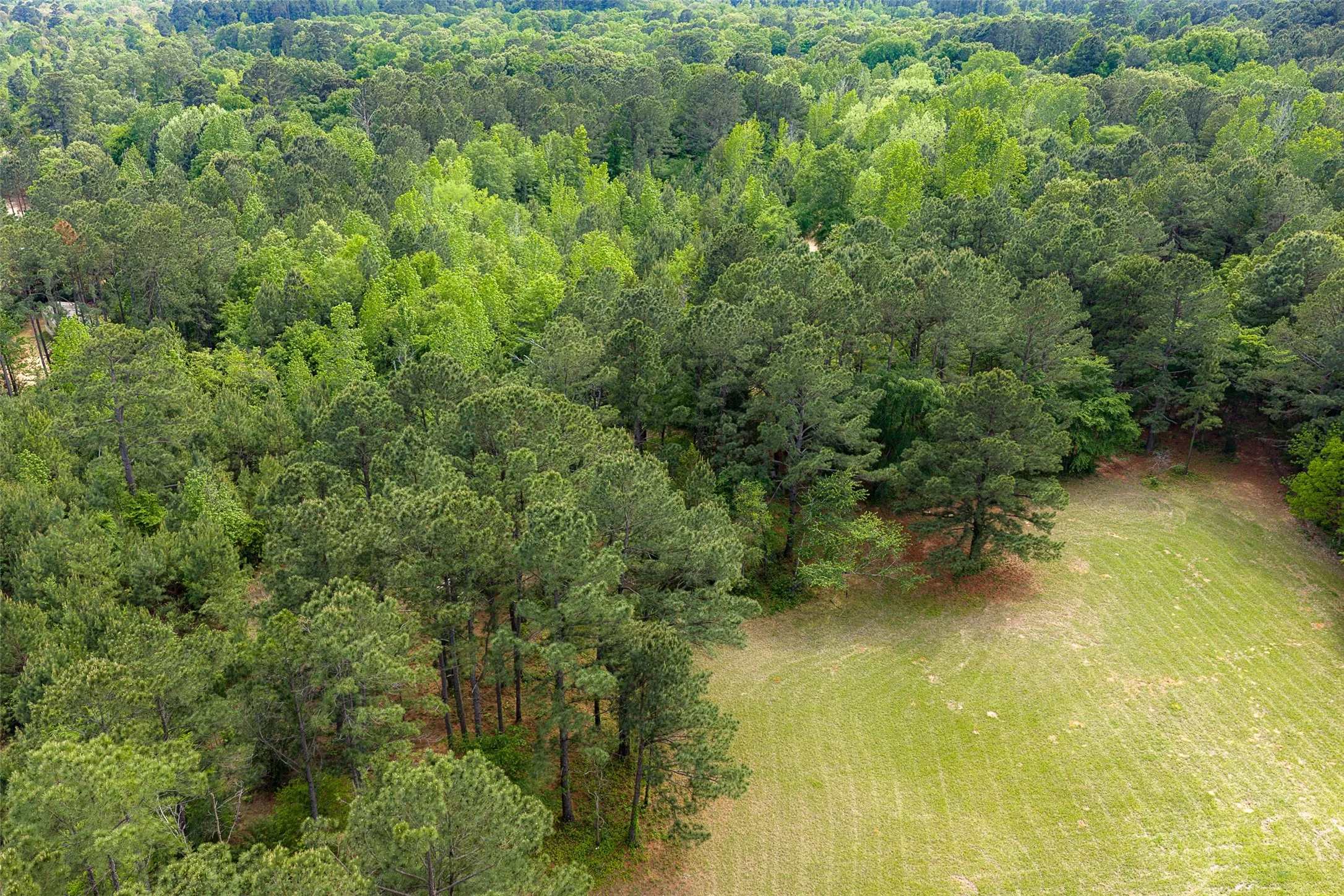 Farm For Sale in Anderson County , 2029 W State Highway 294, Elkhart, Texas 75839, 3 Bedroom, 3 Bathroom, 2 Garage spaces, 1,700 Sqft, built in 1967, Preowned, Price $490,000, mls#21236753, Real Estate Agent in Elkhart, Homes For Sale in Anderson county, Homes For Sale in Elkhart, Realtor in Elkhart Texas, Real Estate Brokerage Independent Realty Texas, Luminita Cordes Realtor