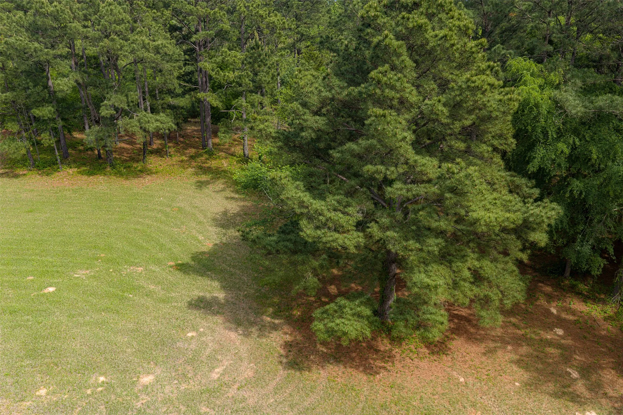 Farm For Sale in Anderson County , 2029 W State Highway 294, Elkhart, Texas 75839, 3 Bedroom, 3 Bathroom, 2 Garage spaces, 1,700 Sqft, built in 1967, Preowned, Price $490,000, mls#21236753, Real Estate Agent in Elkhart, Homes For Sale in Anderson county, Homes For Sale in Elkhart, Realtor in Elkhart Texas, Real Estate Brokerage Independent Realty Texas, Luminita Cordes Realtor
