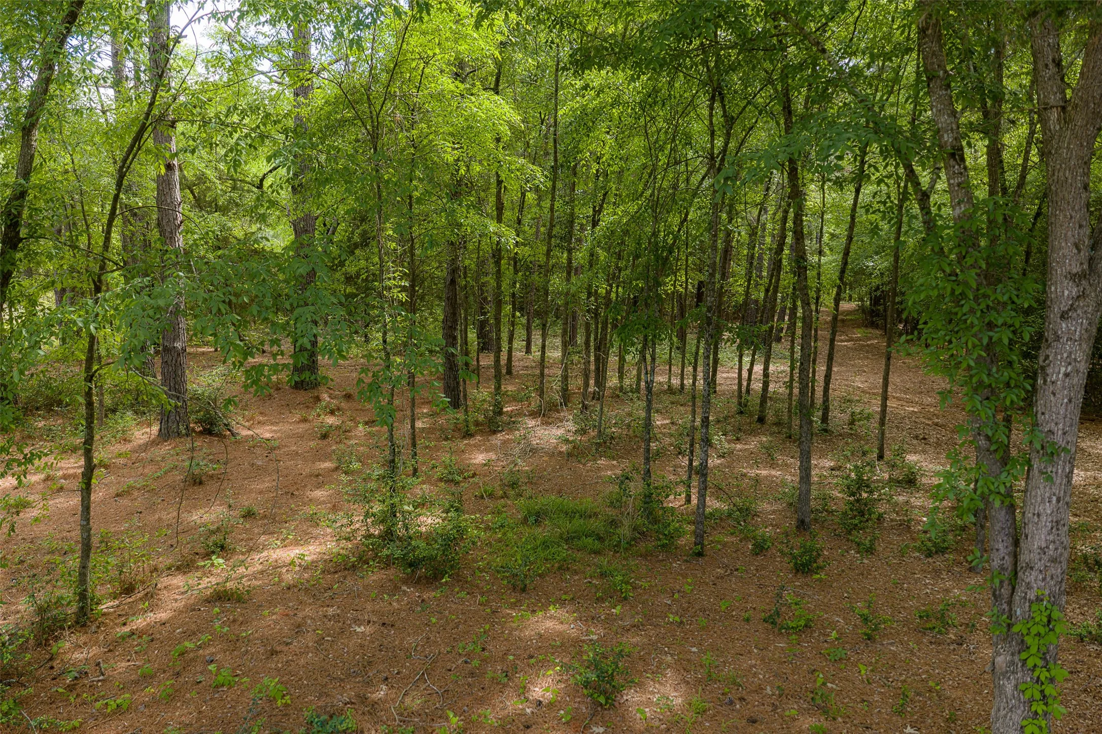 Farm For Sale in Anderson County , 2029 W State Highway 294, Elkhart, Texas 75839, 3 Bedroom, 3 Bathroom, 2 Garage spaces, 1,700 Sqft, built in 1967, Preowned, Price $490,000, mls#21236753, Real Estate Agent in Elkhart, Homes For Sale in Anderson county, Homes For Sale in Elkhart, Realtor in Elkhart Texas, Real Estate Brokerage Independent Realty Texas, Luminita Cordes Realtor