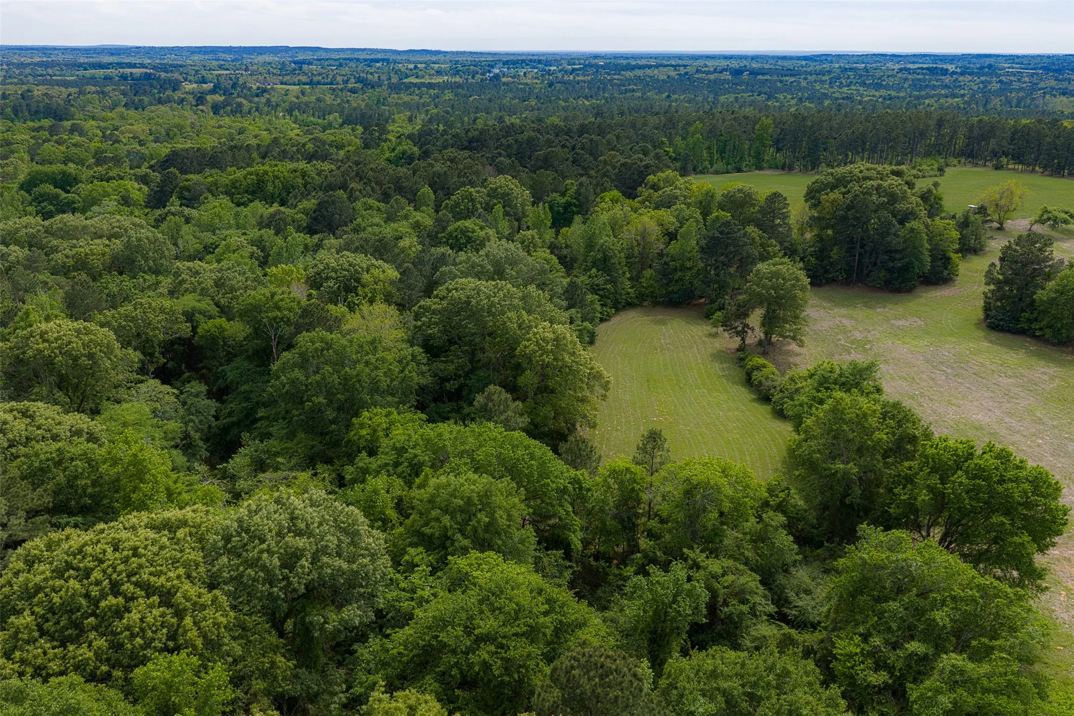 Farm For Sale in Anderson County , 2029 W State Highway 294, Elkhart, Texas 75839, 3 Bedroom, 3 Bathroom, 2 Garage spaces, 1,700 Sqft, built in 1967, Preowned, Price $490,000, mls#21236753, Real Estate Agent in Elkhart, Homes For Sale in Anderson county, Homes For Sale in Elkhart, Realtor in Elkhart Texas, Real Estate Brokerage Independent Realty Texas, Luminita Cordes Realtor