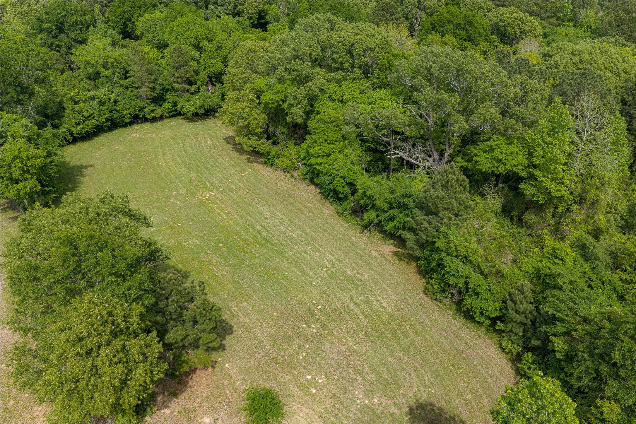 Farm For Sale in Anderson County , 2029 W State Highway 294, Elkhart, Texas 75839, 3 Bedroom, 3 Bathroom, 2 Garage spaces, 1,700 Sqft, built in 1967, Preowned, Price $490,000, mls#21236753, Real Estate Agent in Elkhart, Homes For Sale in Anderson county, Homes For Sale in Elkhart, Realtor in Elkhart Texas, Real Estate Brokerage Independent Realty Texas, Luminita Cordes Realtor