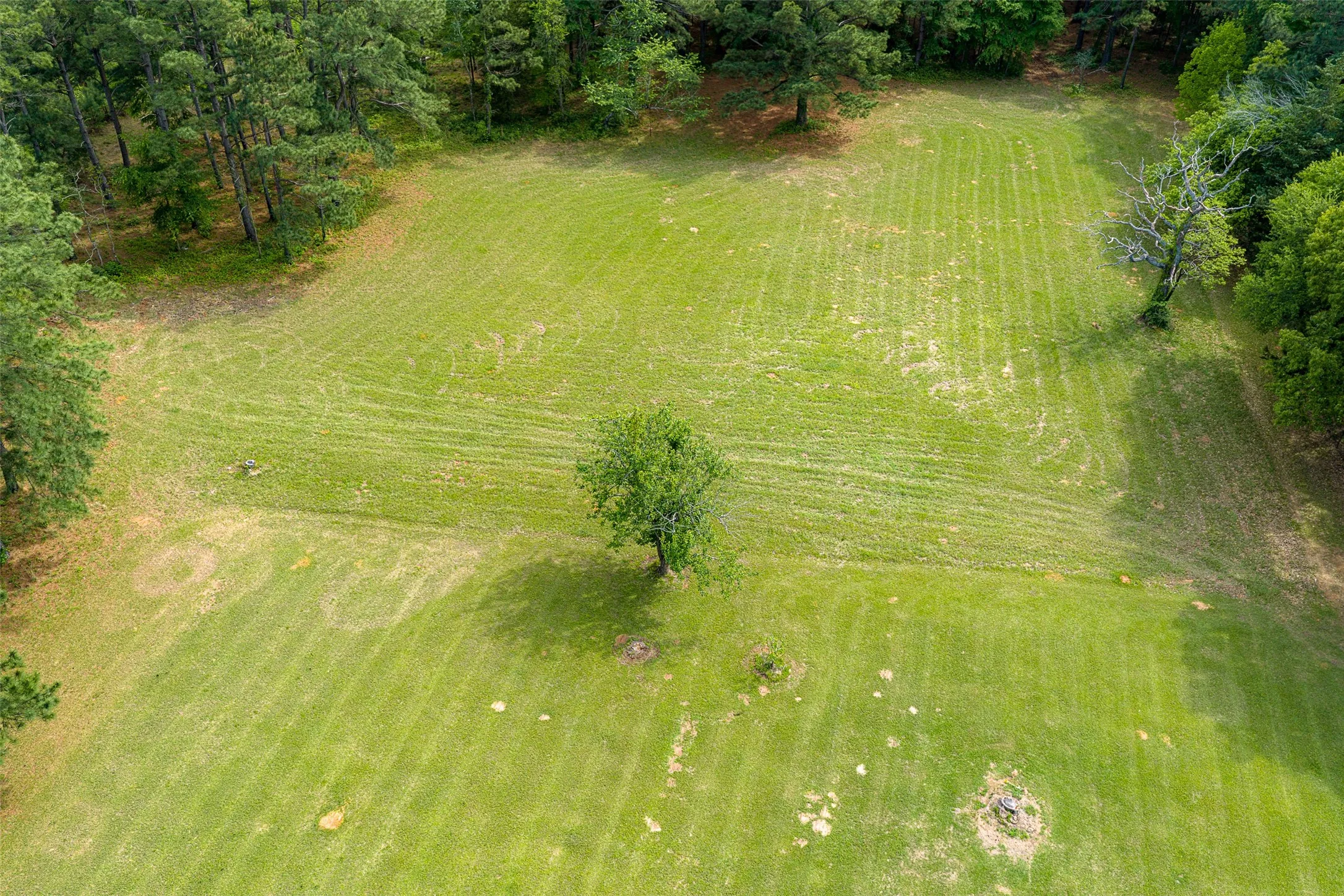 Farm For Sale in Anderson County , 2029 W State Highway 294, Elkhart, Texas 75839, 3 Bedroom, 3 Bathroom, 2 Garage spaces, 1,700 Sqft, built in 1967, Preowned, Price $490,000, mls#21236753, Real Estate Agent in Elkhart, Homes For Sale in Anderson county, Homes For Sale in Elkhart, Realtor in Elkhart Texas, Real Estate Brokerage Independent Realty Texas, Luminita Cordes Realtor