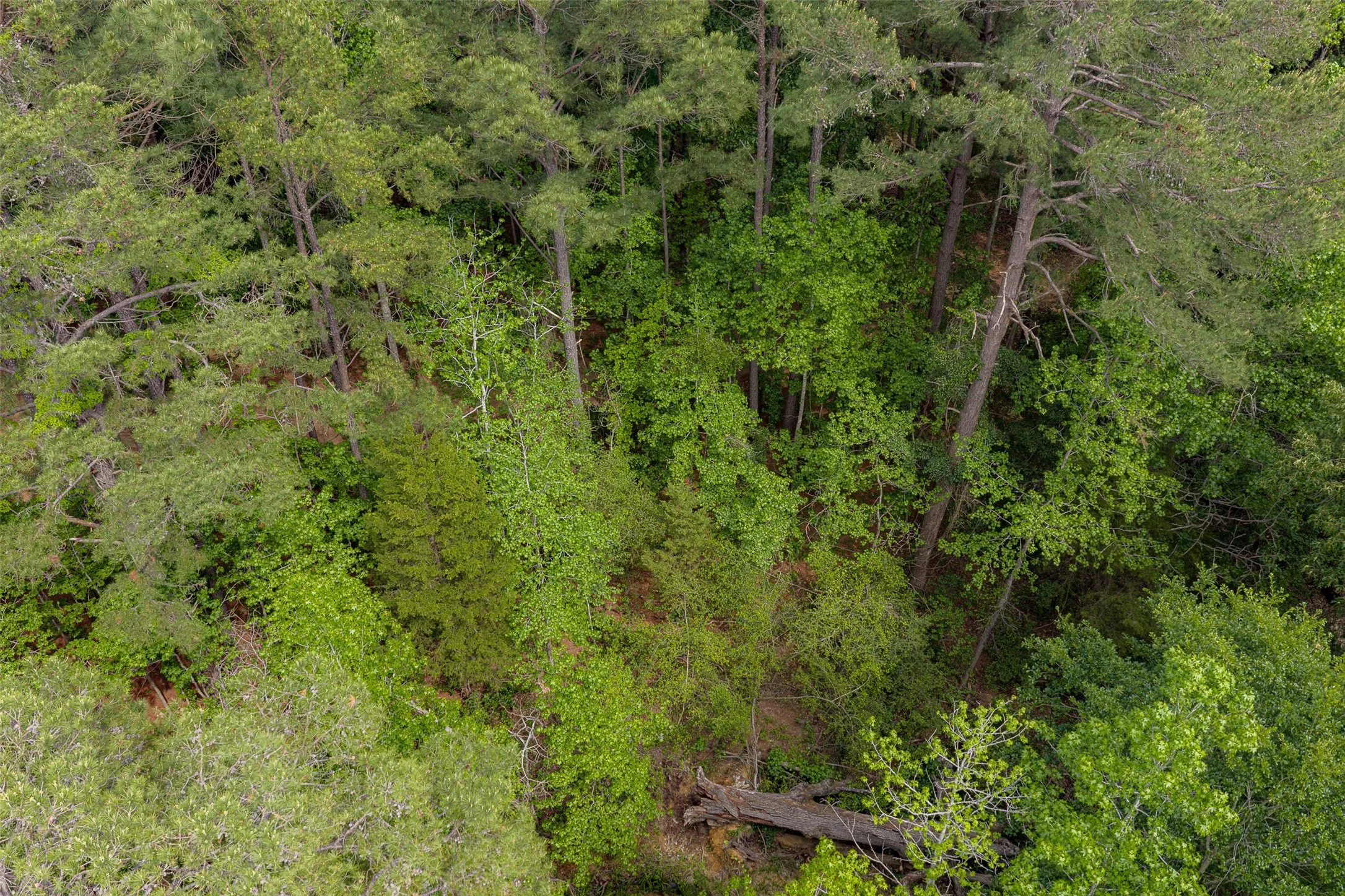 Farm For Sale in Anderson County , 2029 W State Highway 294, Elkhart, Texas 75839, 3 Bedroom, 3 Bathroom, 2 Garage spaces, 1,700 Sqft, built in 1967, Preowned, Price $490,000, mls#21236753, Real Estate Agent in Elkhart, Homes For Sale in Anderson county, Homes For Sale in Elkhart, Realtor in Elkhart Texas, Real Estate Brokerage Independent Realty Texas, Luminita Cordes Realtor