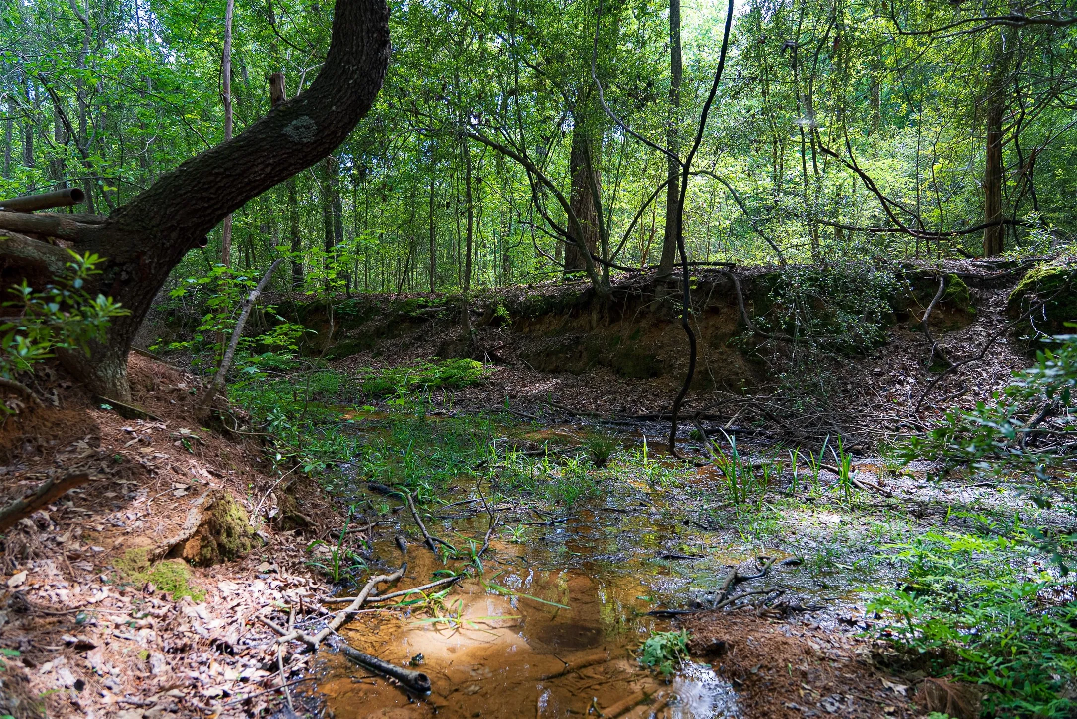Farm For Sale in Anderson County , 2029 W State Highway 294, Elkhart, Texas 75839, 3 Bedroom, 3 Bathroom, 2 Garage spaces, 1,700 Sqft, built in 1967, Preowned, Price $490,000, mls#21236753, Real Estate Agent in Elkhart, Homes For Sale in Anderson county, Homes For Sale in Elkhart, Realtor in Elkhart Texas, Real Estate Brokerage Independent Realty Texas, Luminita Cordes Realtor