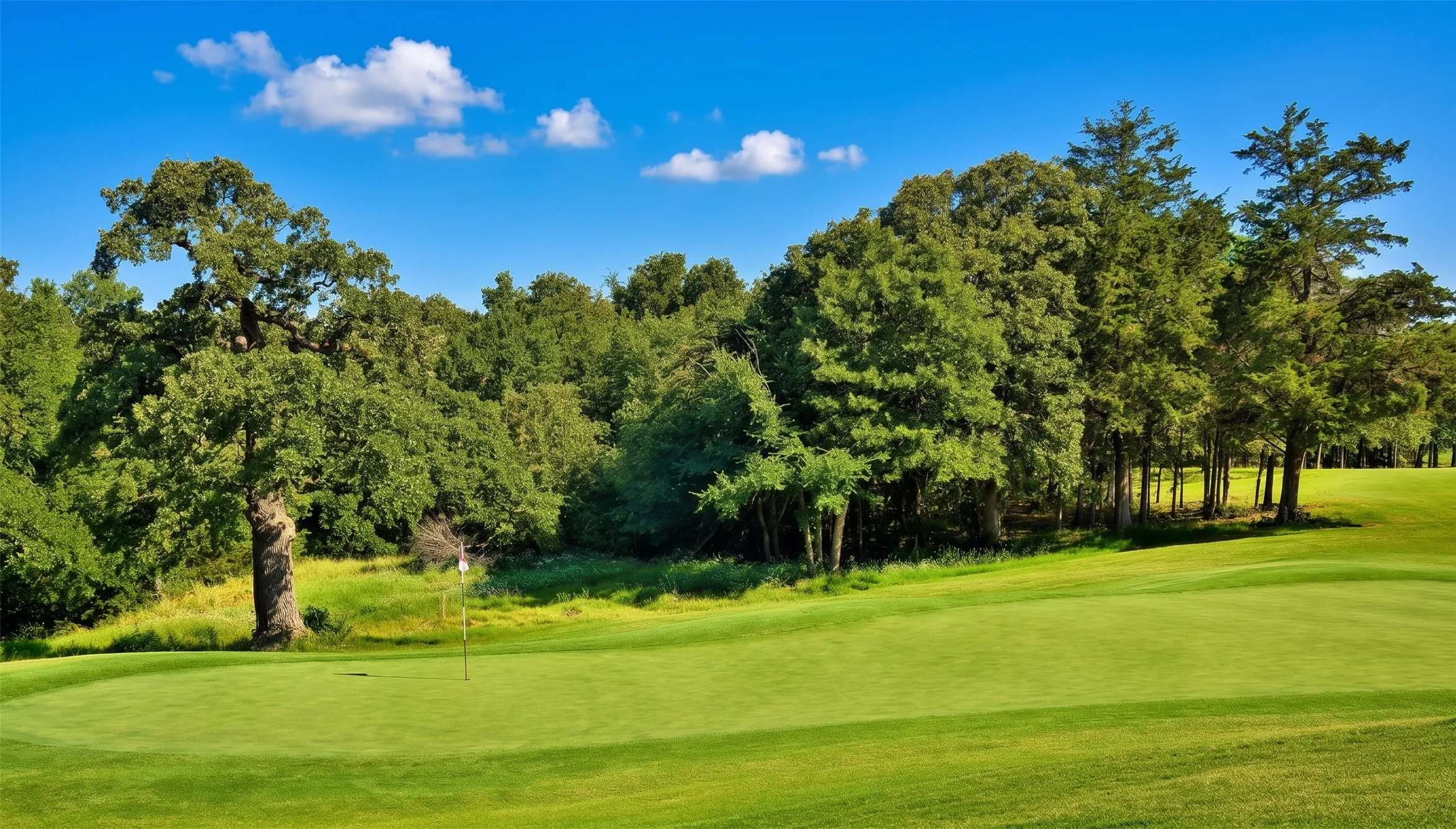 Unimproved Land For Sale in Grayson County , Lot 12B Windrose Loop, Gordonville, Texas 76245, 0, 0, Garage spaces, 0 Sqft, built in 0, Price $32,000, mls#21236881, Real Estate Agent in Gordonville, Homes For Sale in Grayson county, Homes For Sale in Gordonville, Realtor in Gordonville Texas, Real Estate Brokerage Independent Realty Texas, Luminita Cordes Realtor