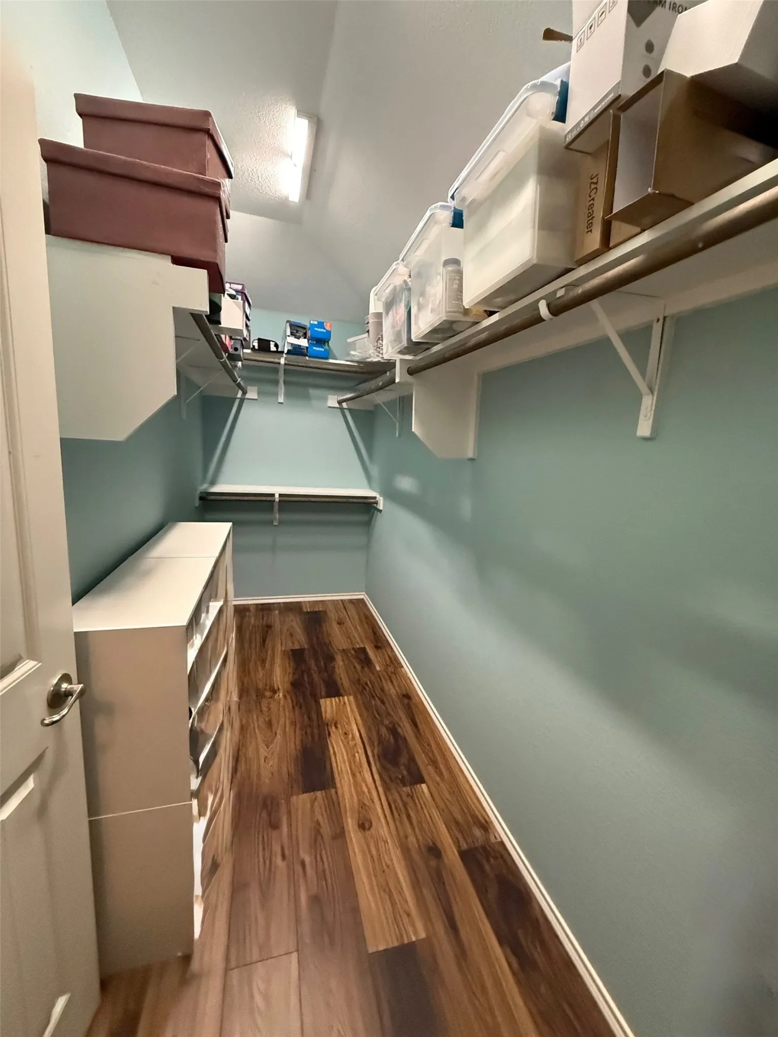 Primary Bedroom Walk-in Closet