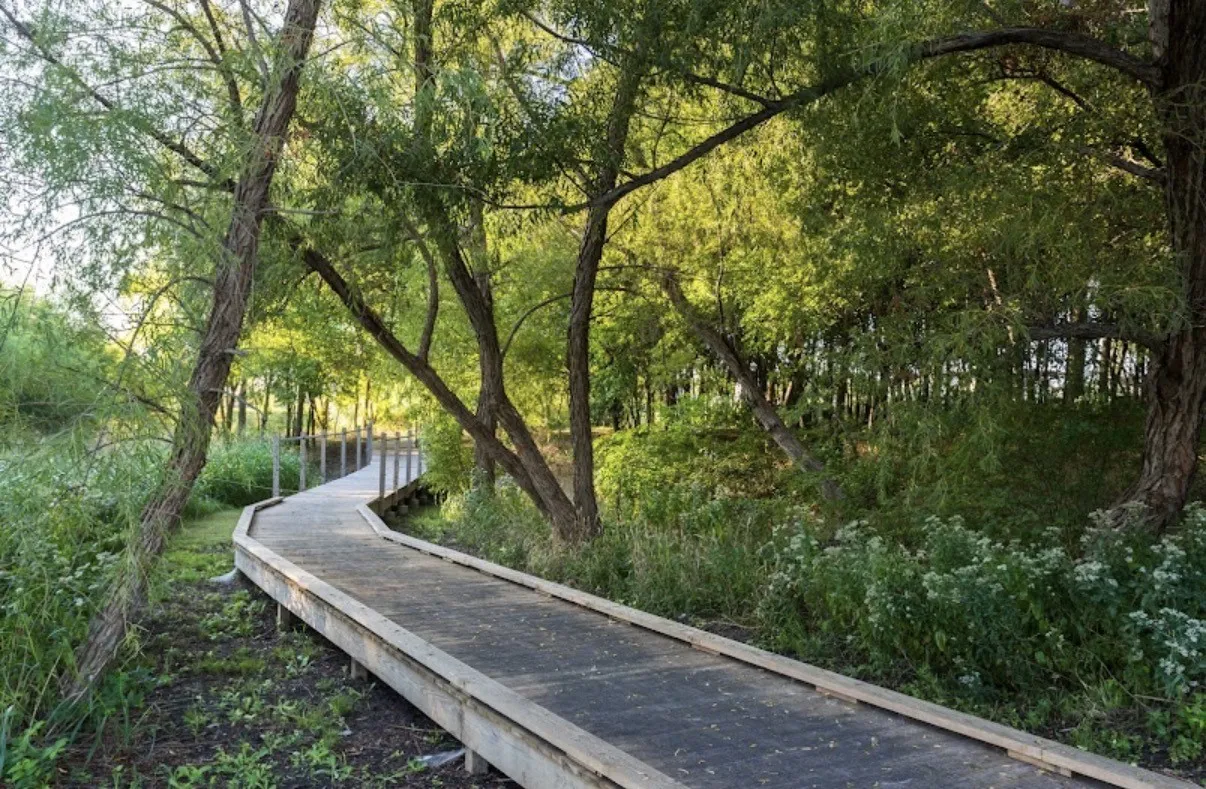 One of many walking trails