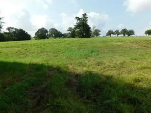Unimproved Land For Sale in Navarro County , Lot 69 Vista Ridge Road, Corsicana, Texas 75109, 0, 0, Garage spaces, 0 Sqft, built in 0, Price $69,000, mls#21237065, Real Estate Agent in Corsicana, Homes For Sale in Navarro county, Homes For Sale in Corsicana, Realtor in Corsicana Texas, Real Estate Brokerage Independent Realty Texas, Luminita Cordes Realtor
