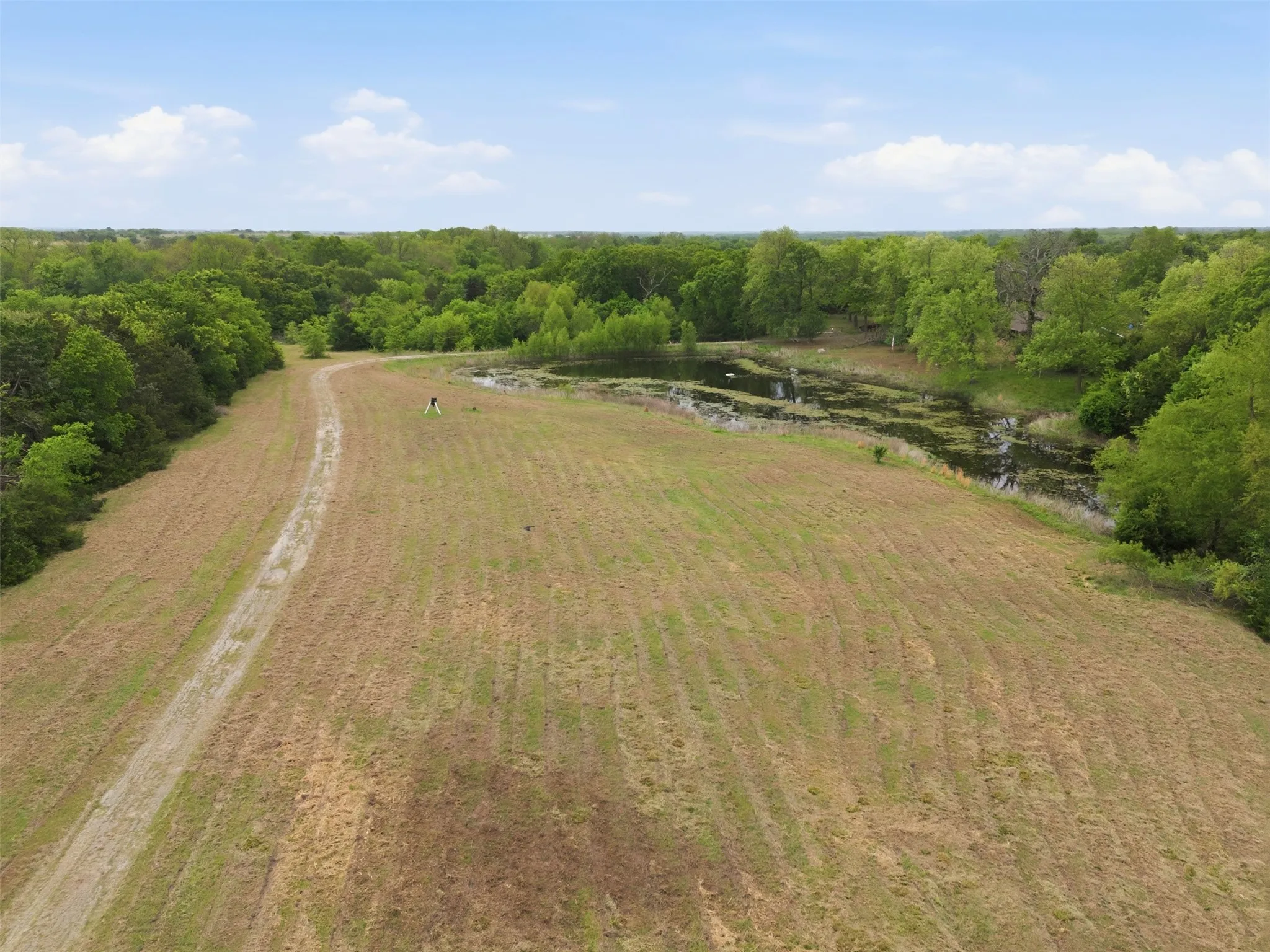 Farm For Sale in Hunt County , 639 County Road 1001, Greenville, Texas 75401, 3 Bedroom, 2 Bathroom, 2 Garage spaces, 2,032 Sqft, built in 1975, Preowned, Price $1,200,000, mls#21228192, Real Estate Agent in Greenville, Homes For Sale in Hunt county, Homes For Sale in Greenville, Realtor in Greenville Texas, Real Estate Brokerage Independent Realty Texas, Luminita Cordes Realtor