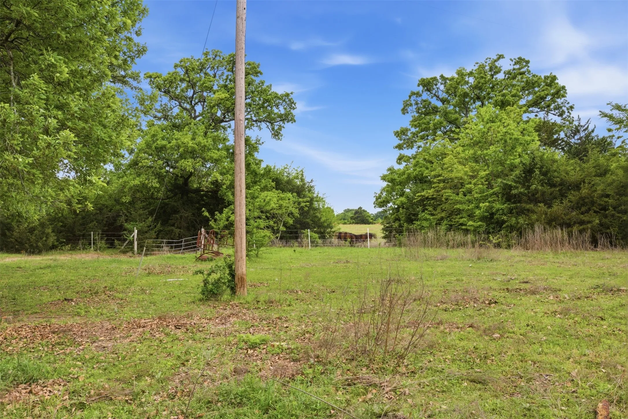 Farm For Sale in Hunt County , 639 County Road 1001, Greenville, Texas 75401, 3 Bedroom, 2 Bathroom, 2 Garage spaces, 2,032 Sqft, built in 1975, Preowned, Price $1,200,000, mls#21228192, Real Estate Agent in Greenville, Homes For Sale in Hunt county, Homes For Sale in Greenville, Realtor in Greenville Texas, Real Estate Brokerage Independent Realty Texas, Luminita Cordes Realtor