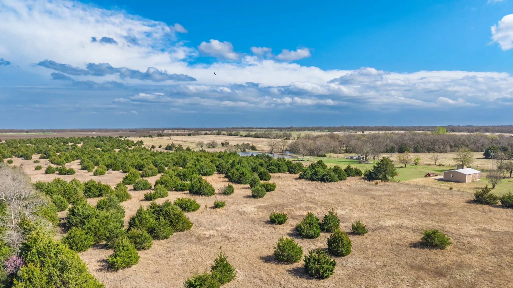 Aerial view of sparsely populated area