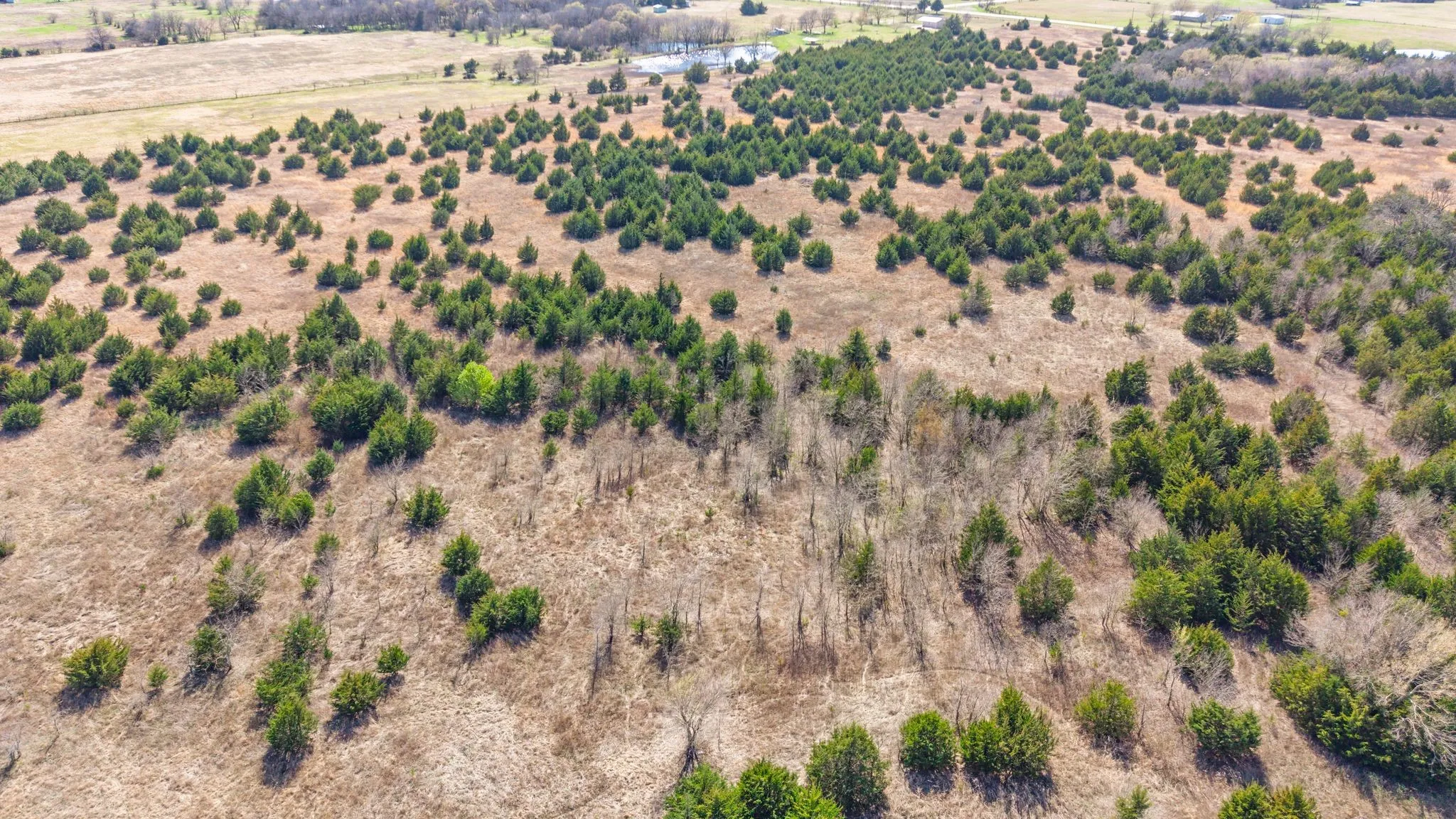 Aerial view of sparsely populated area